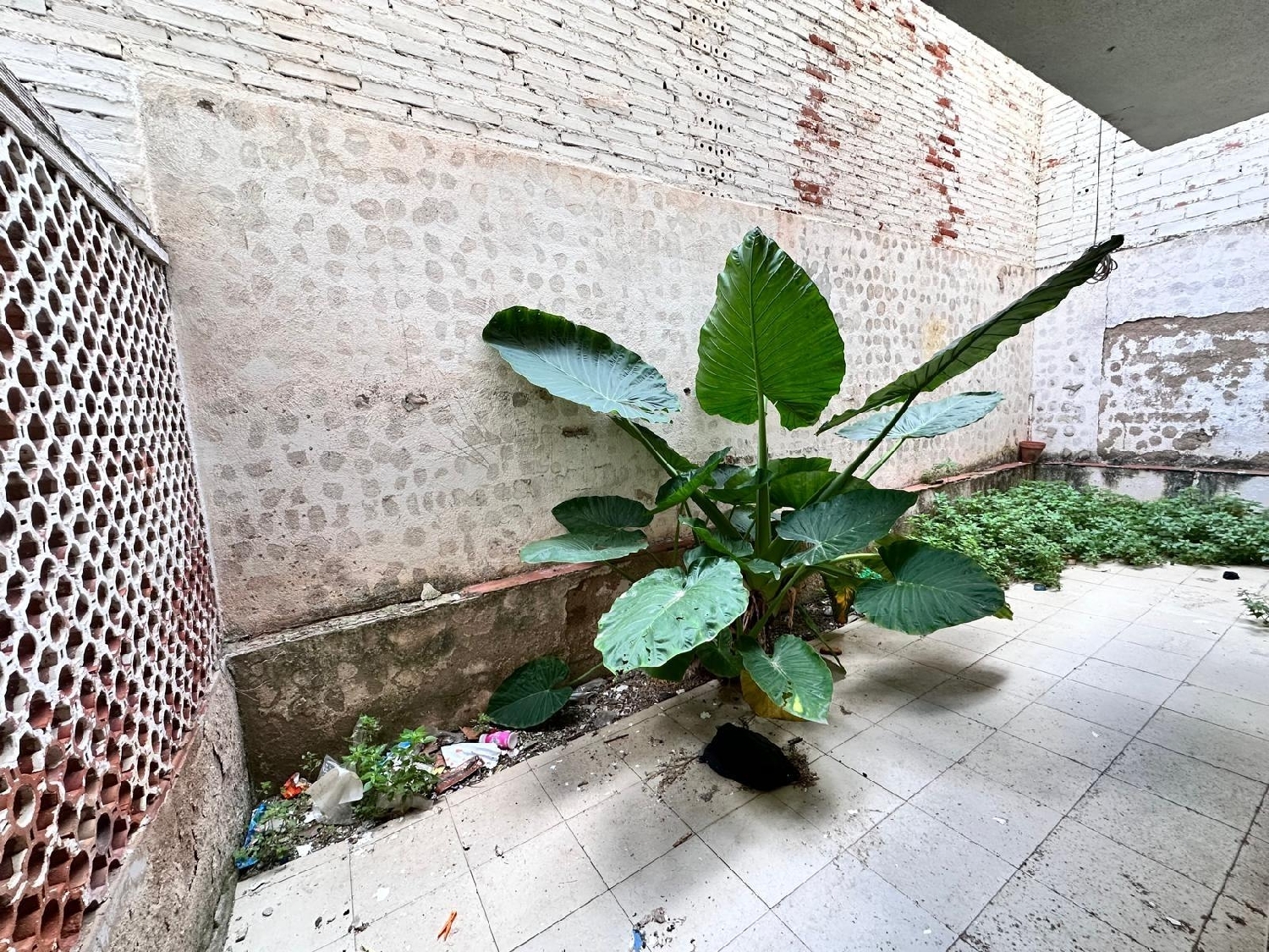 for sale apartment Cambrils Baix Camp 4