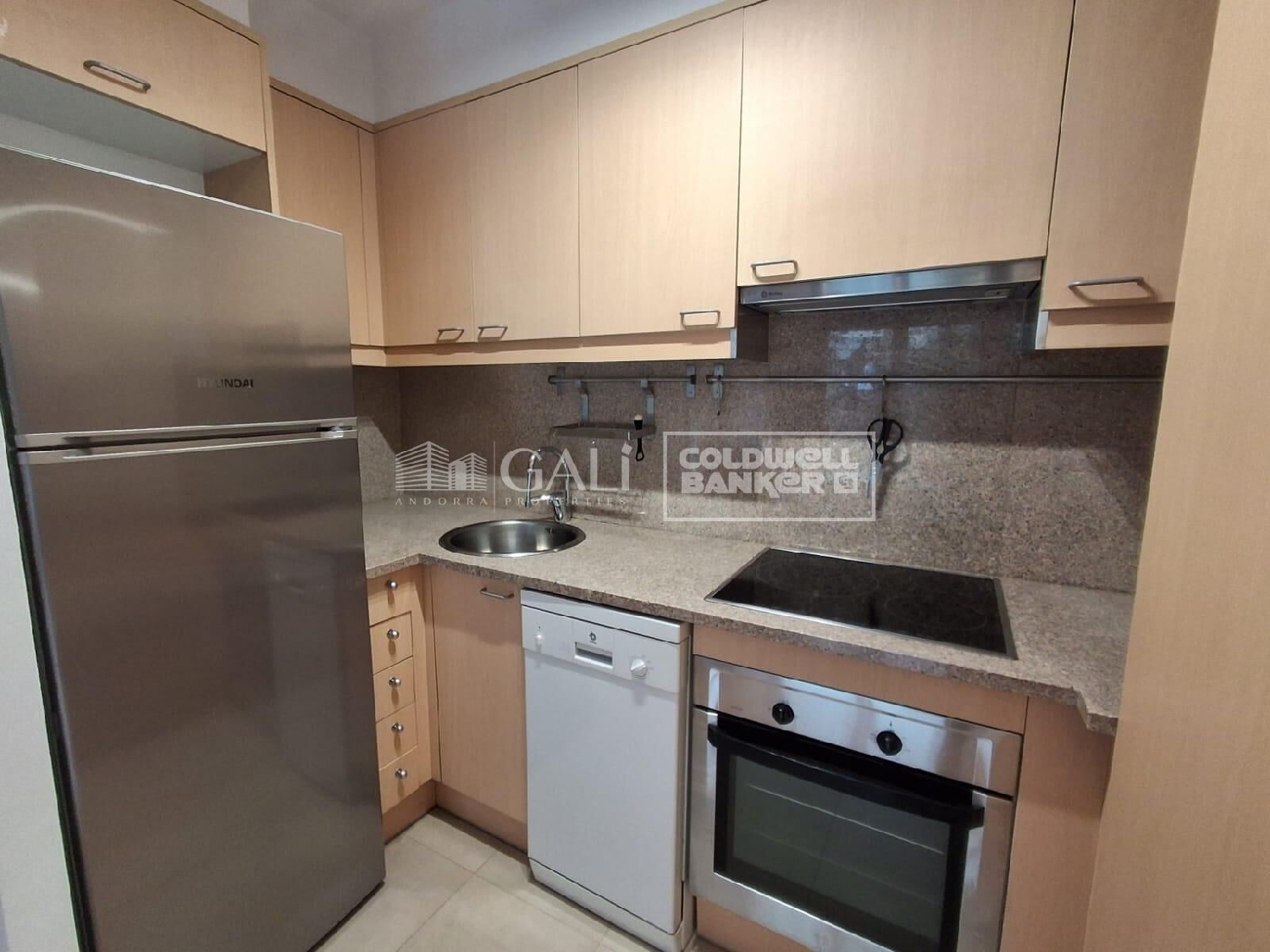  à vendre appartement Canillo Canillo 6