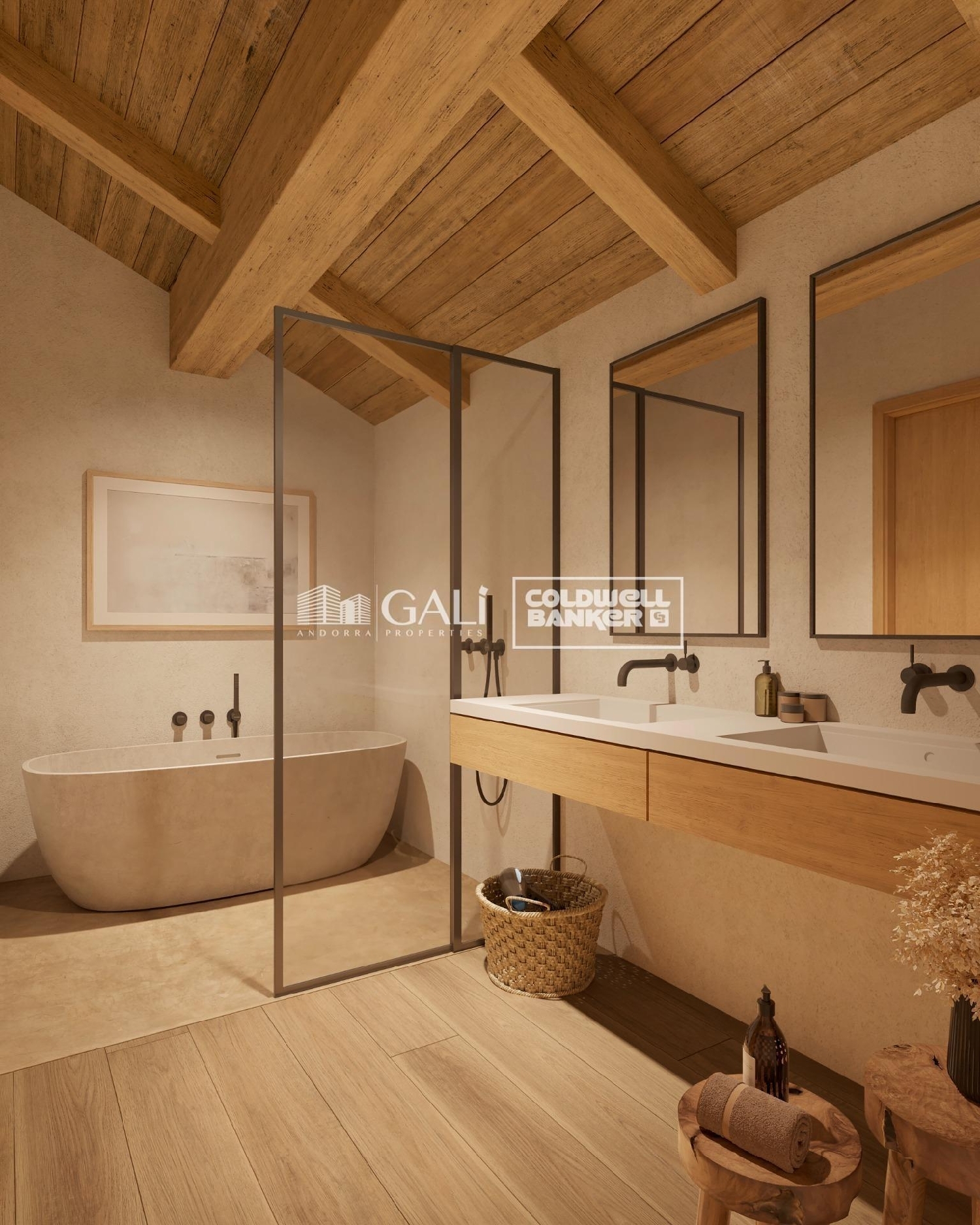  à vendre appartement Canillo Canillo 6