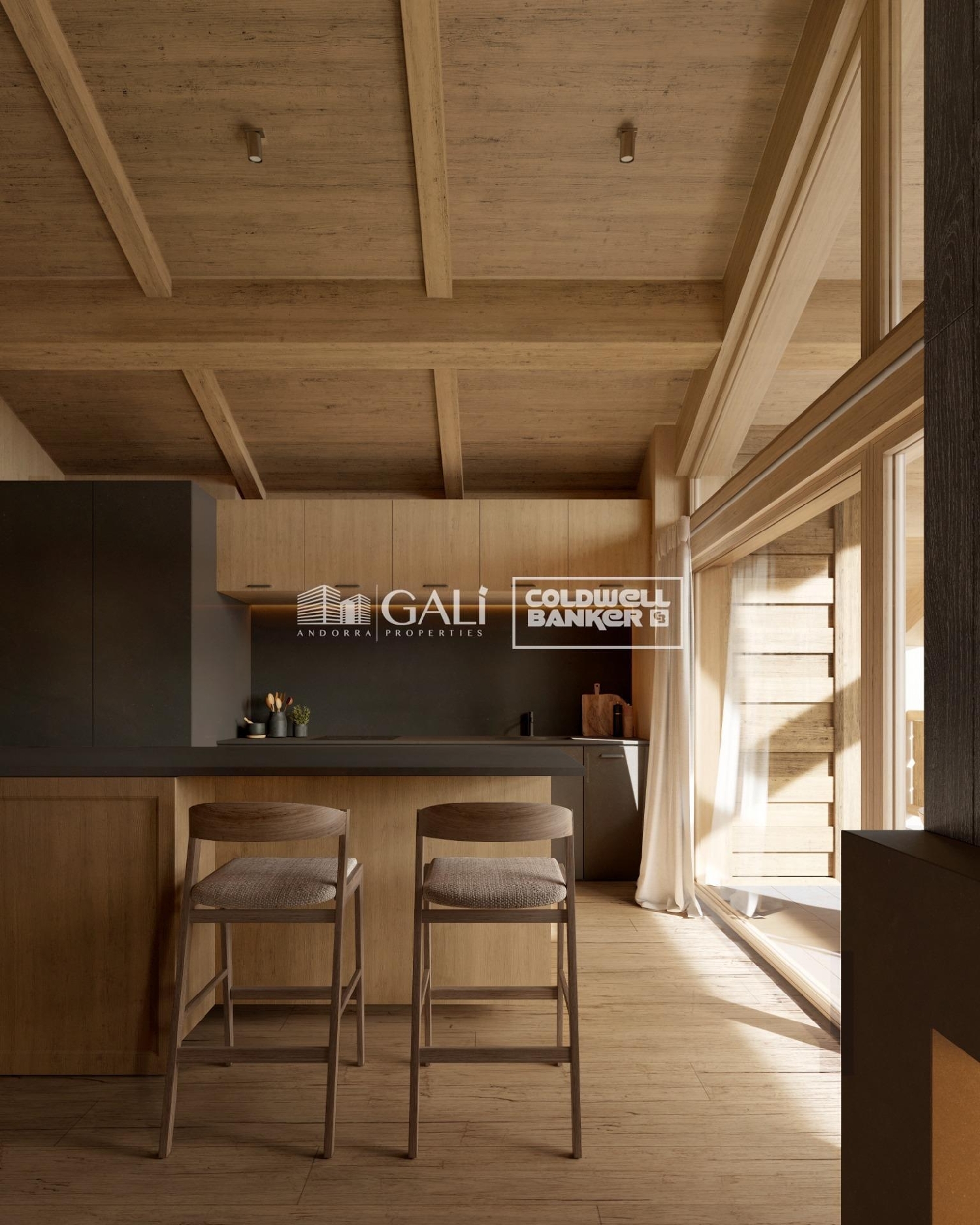  à vendre appartement Canillo Canillo 3