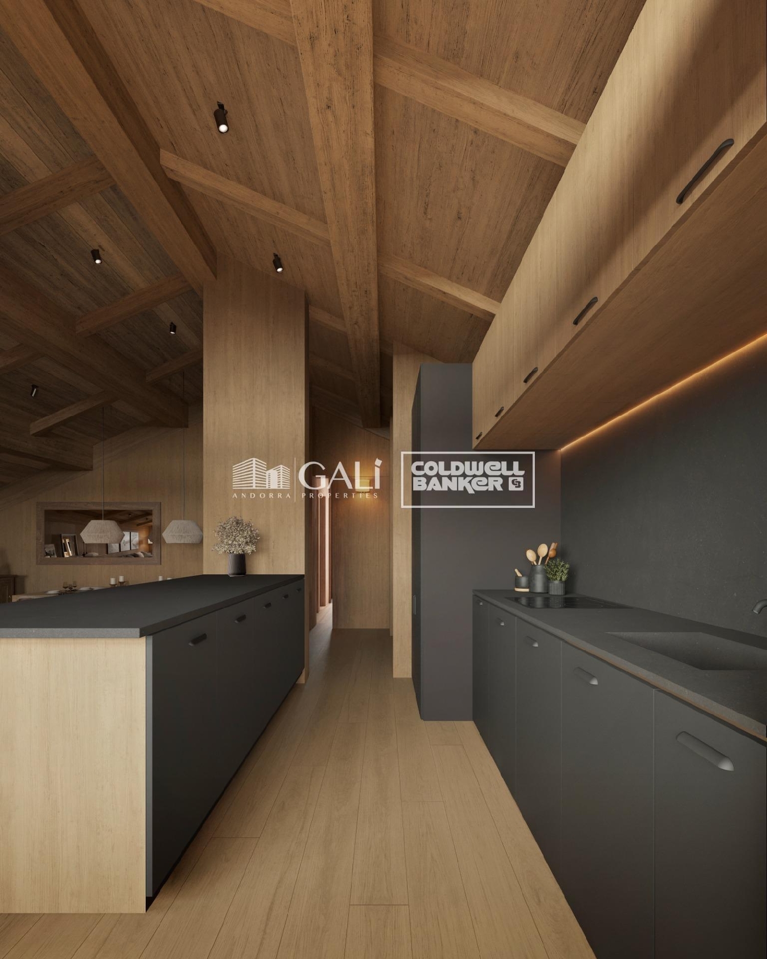  à vendre appartement Canillo Canillo 2