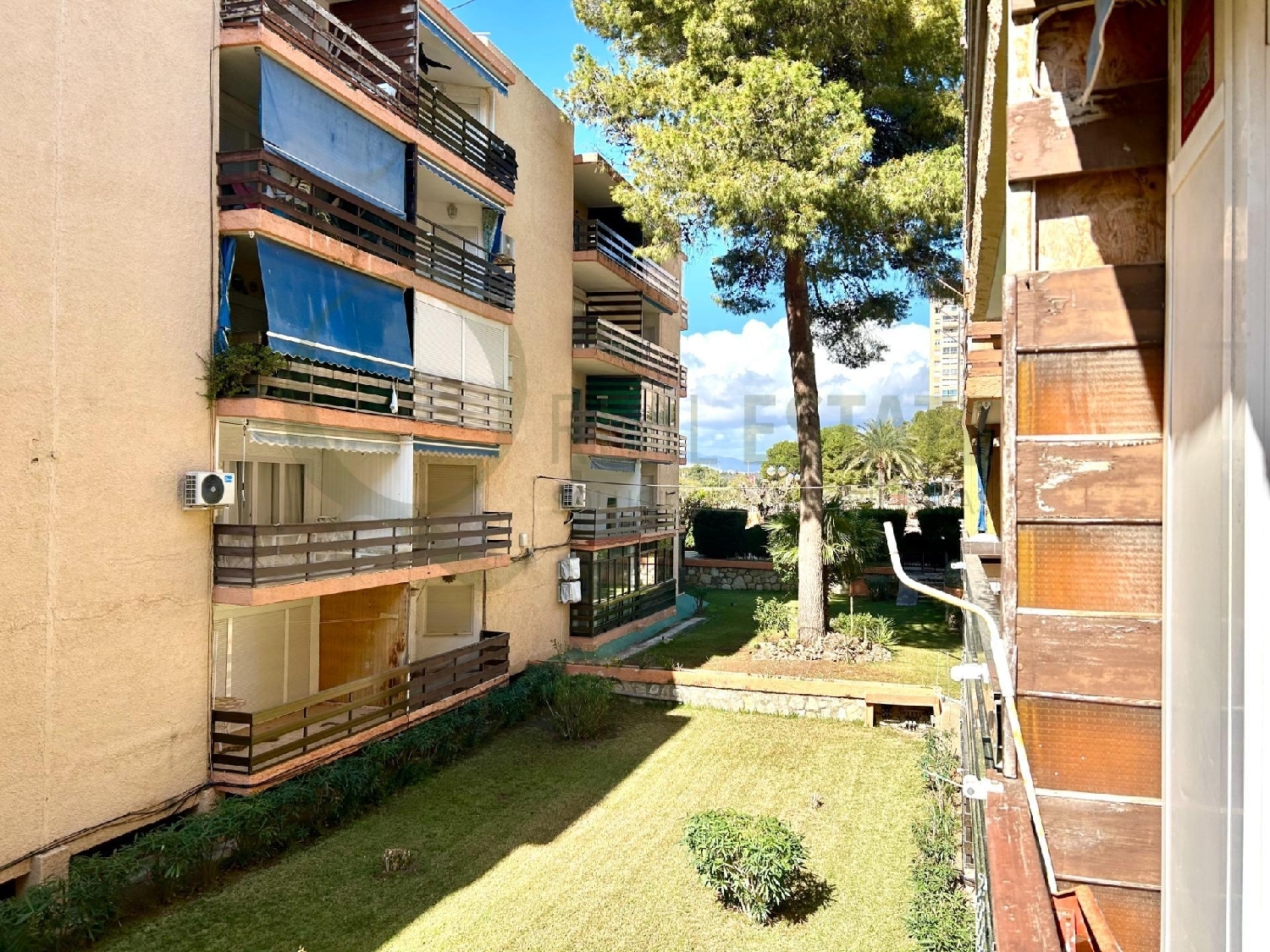  te koop appartement El Campello Alacantí 2