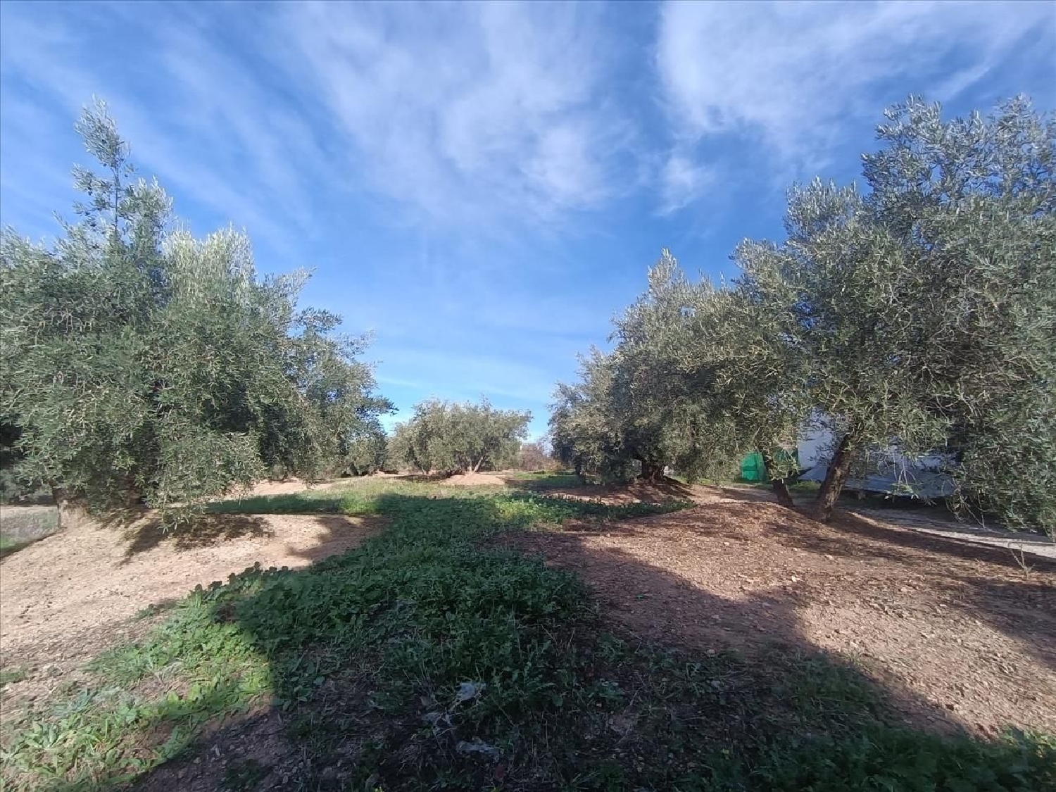 for sale apartment Fuensanta De Martos Metropolitana De Jaén 2