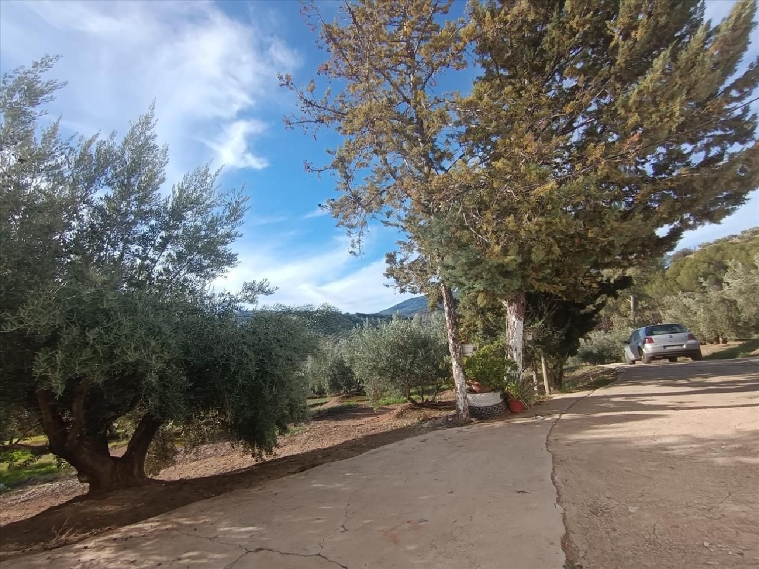 for sale apartment Fuensanta De Martos Metropolitana De Jaén 3