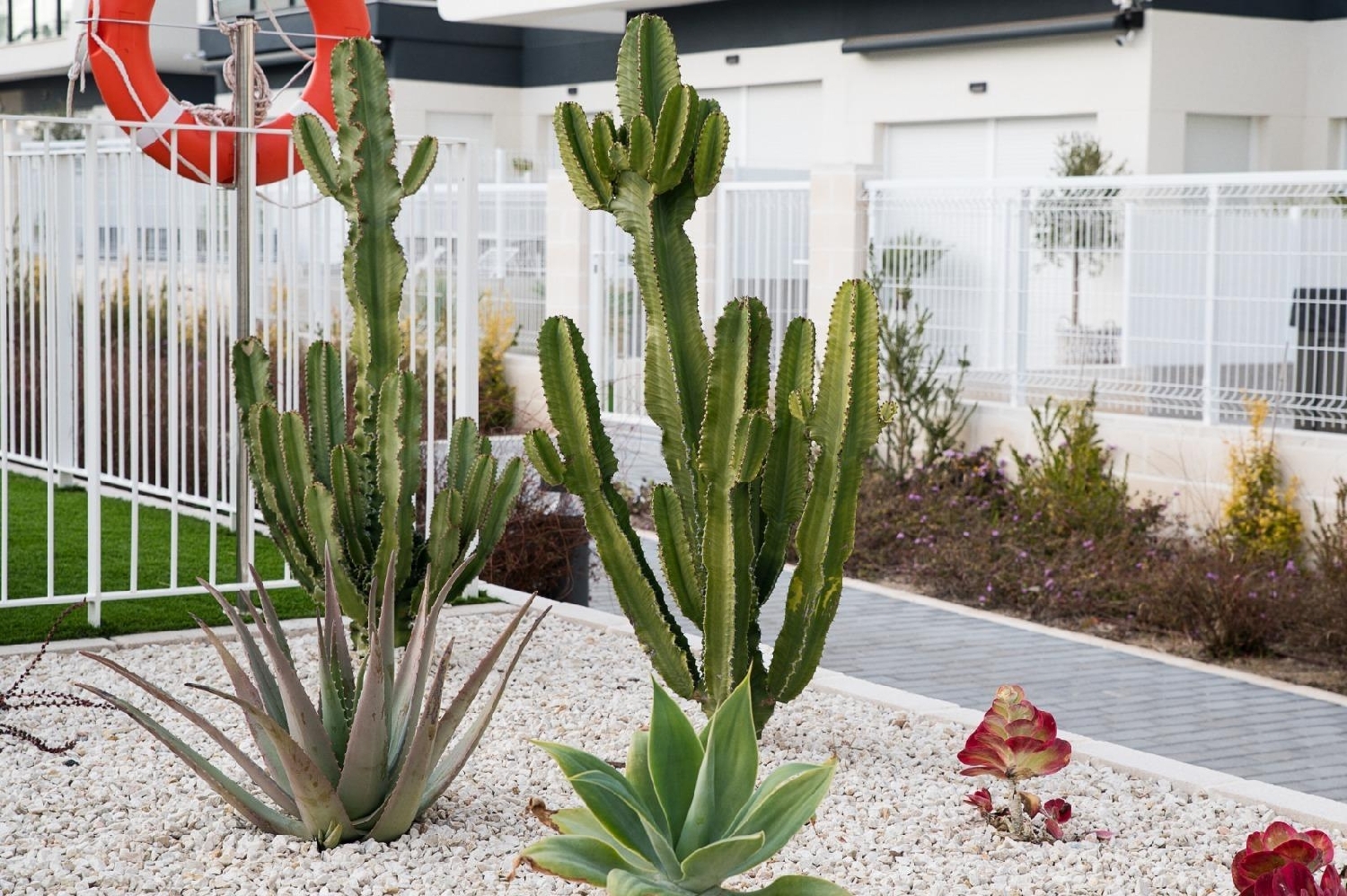 à vendre appartement Gran Alacant Baix Vinalopó 6