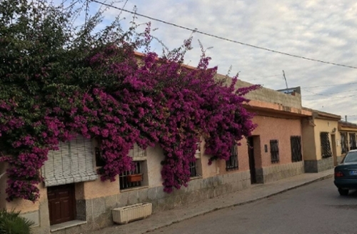 Los Martínez Del Puerto Huerta De Murcia appartement foto 6359810