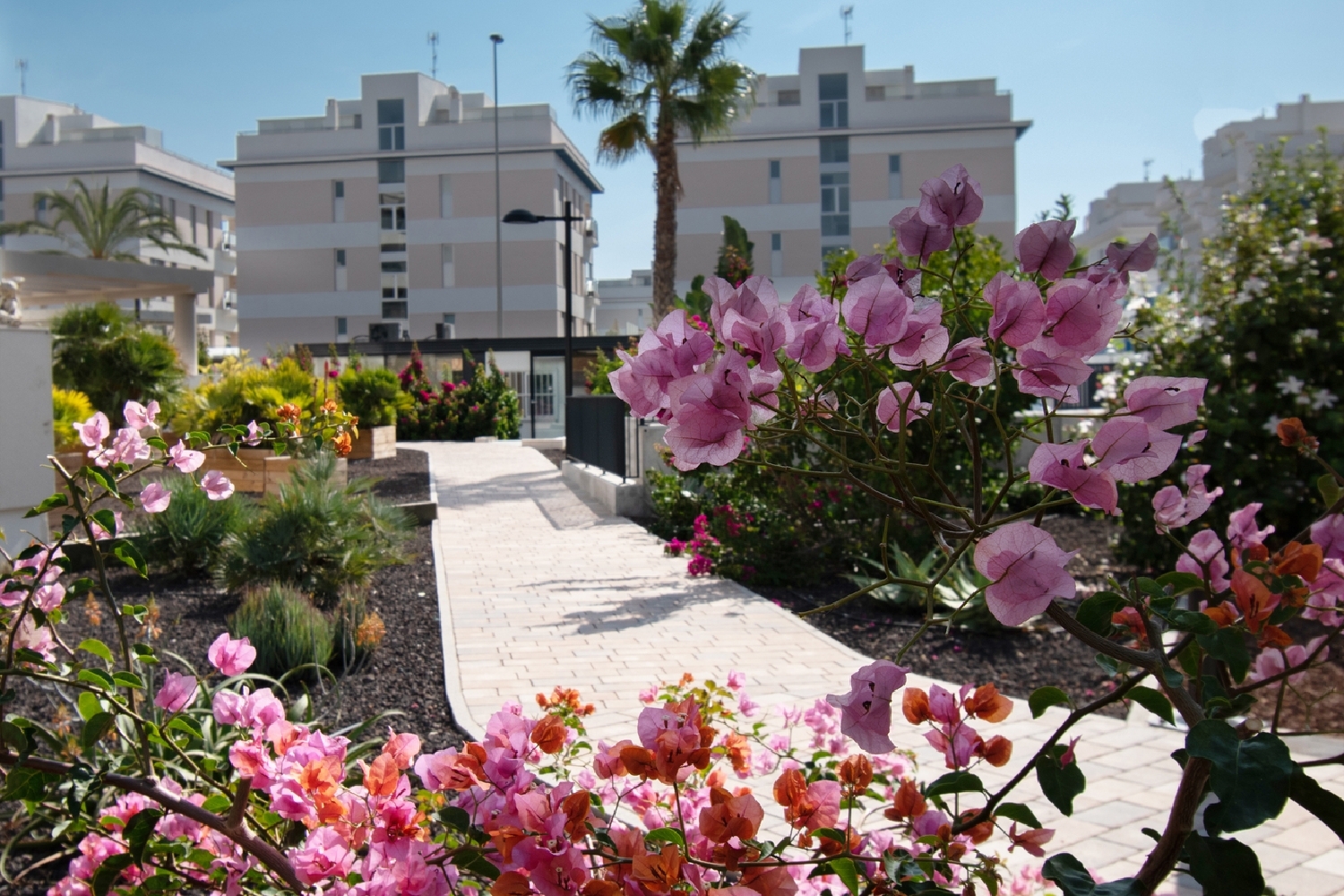  for sale apartment Orihuela Costa Baix Segura 7