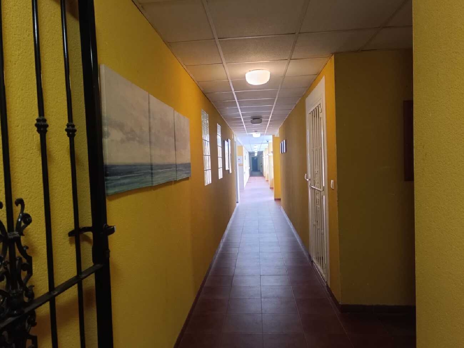  en venta apartamento Rafal Baix Segura 23