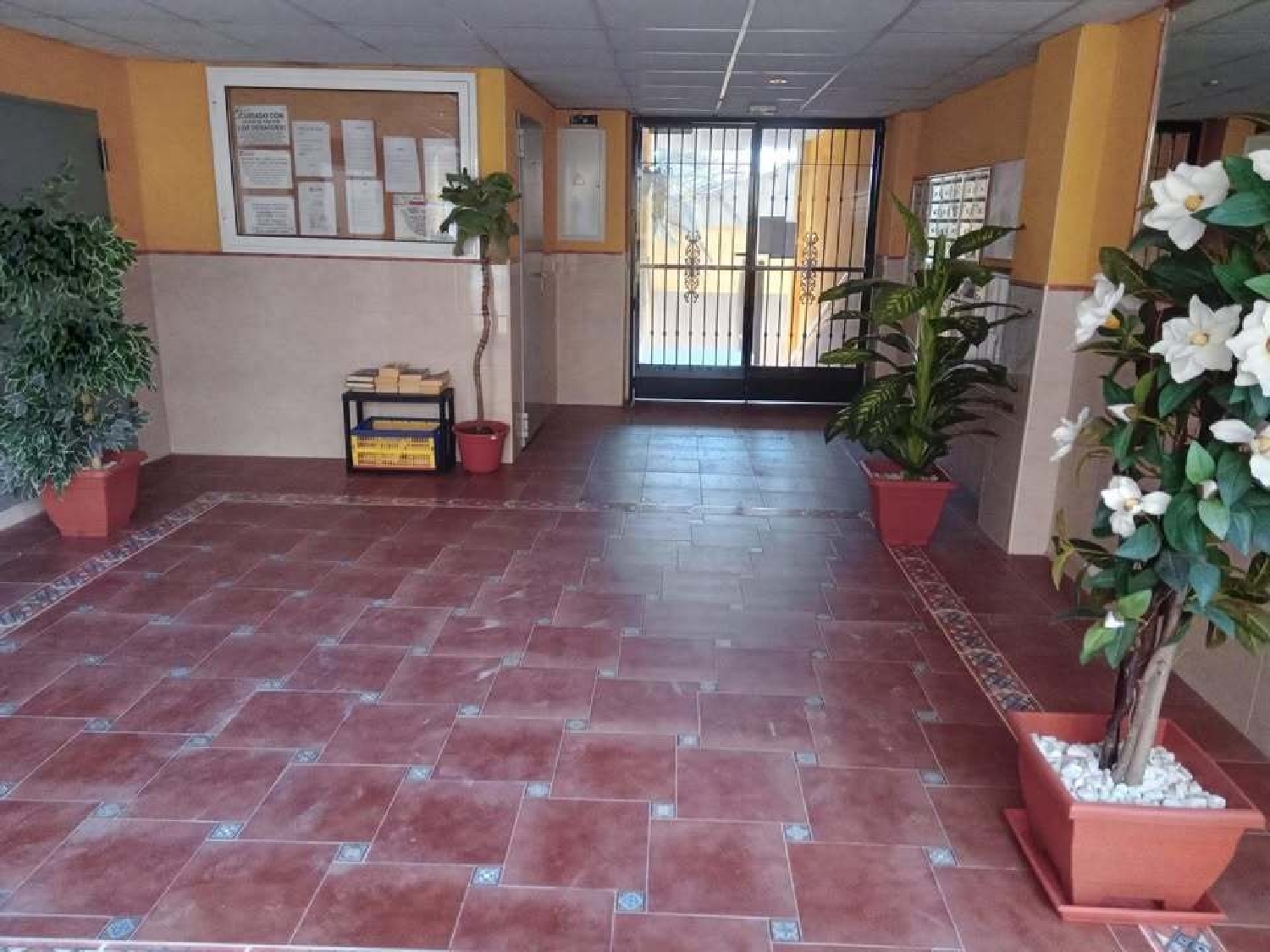  en venta apartamento Rafal Baix Segura 35