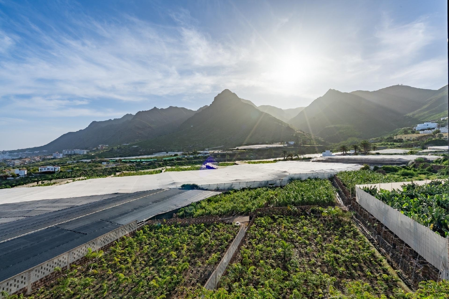  kaufen Wohnung San Cristóbal De La Laguna Centro 38201 Zona Metropolitana 7