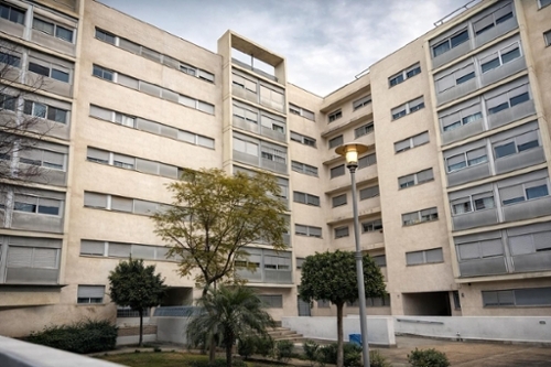 Sevilla La Nueva Sur apartment foto 6359034