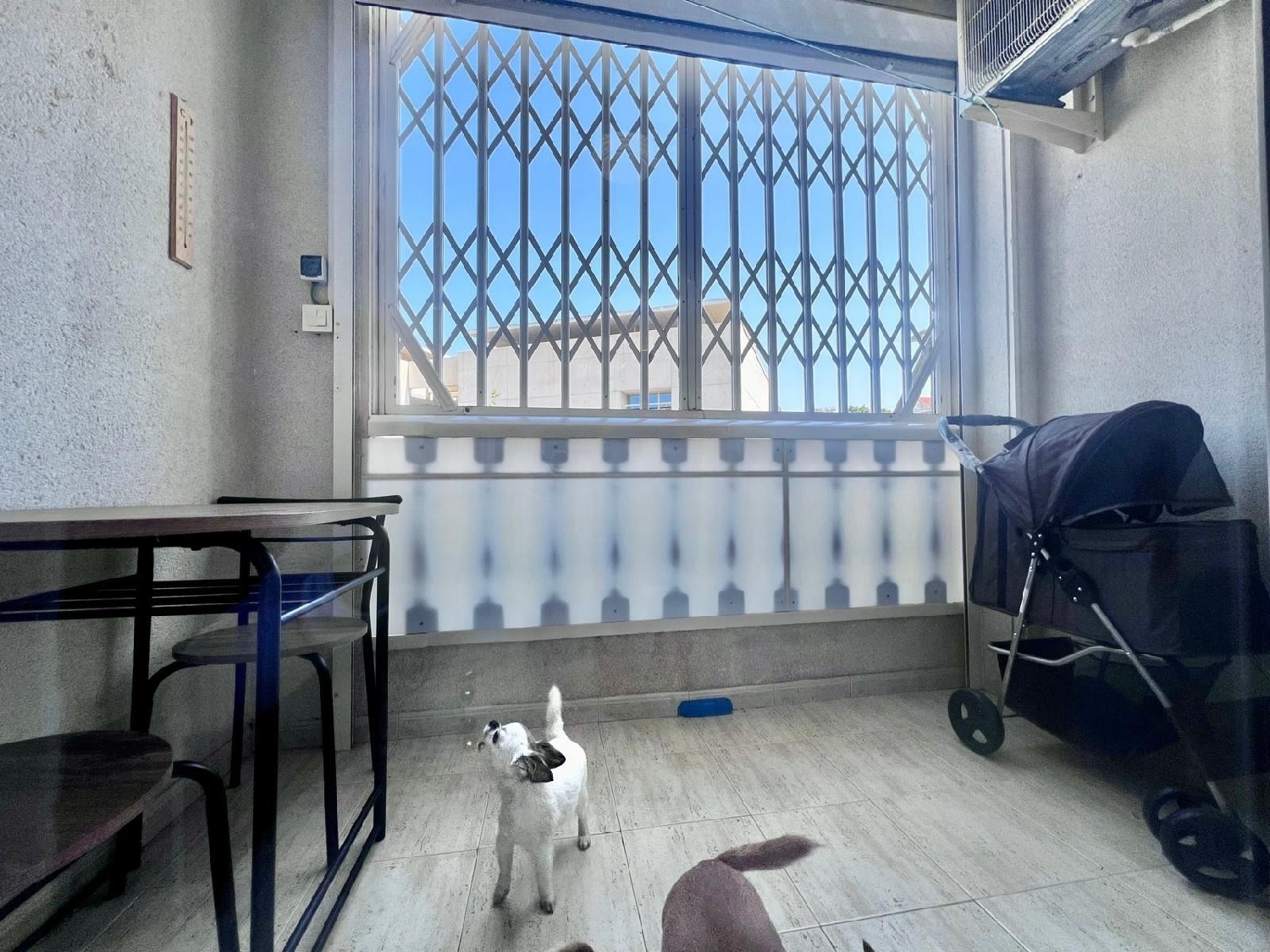  en venta apartamento Torrevieja Baix Segura 5