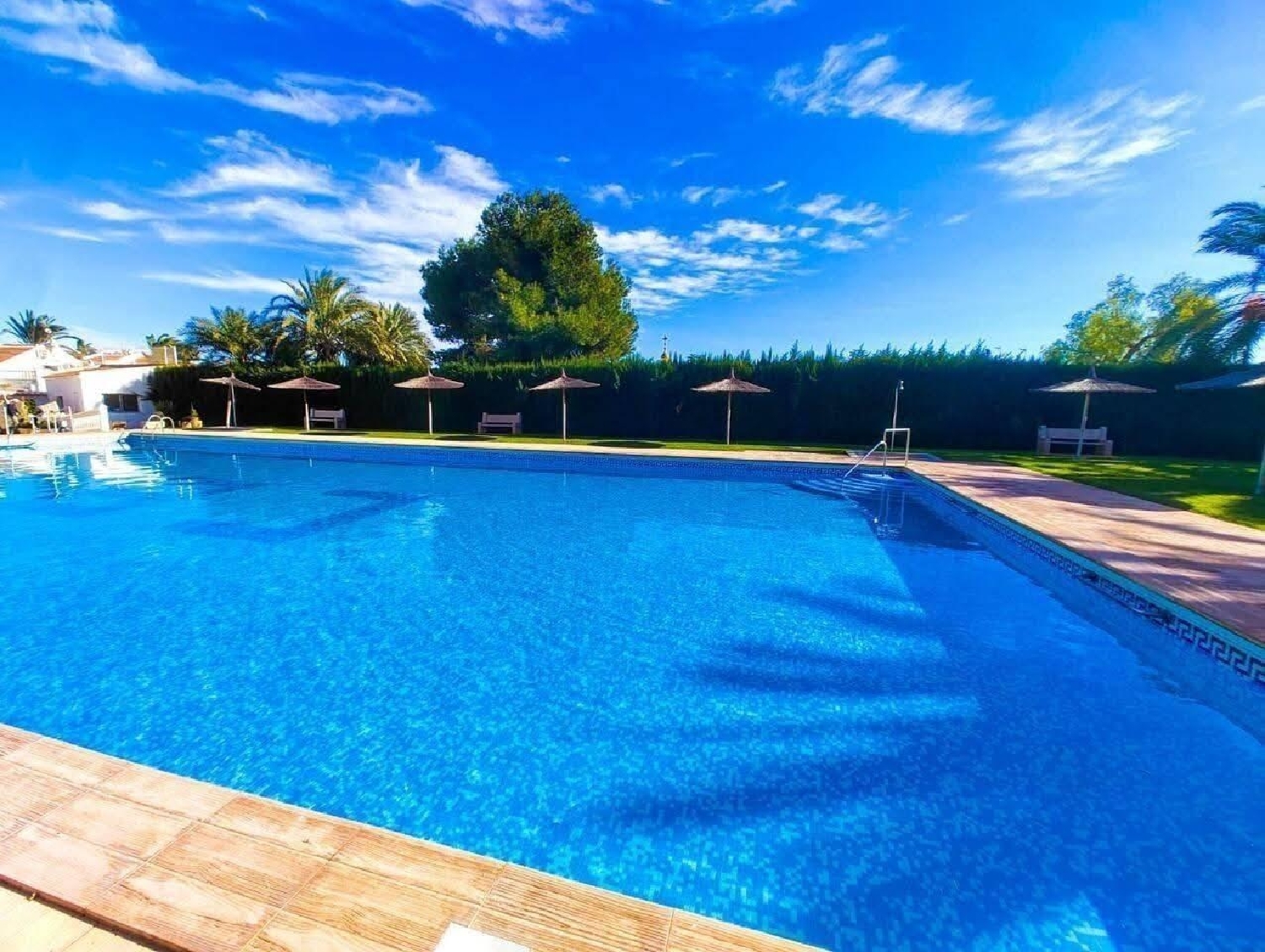  kaufen Wohnung Torrevieja Baix Segura 2