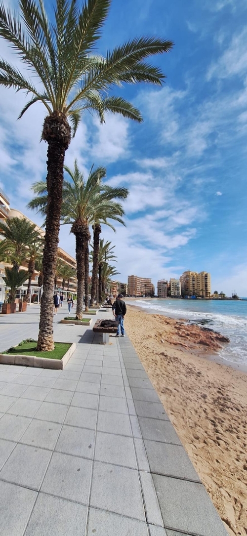 Torrevieja Baix Segura appartement foto 6365974