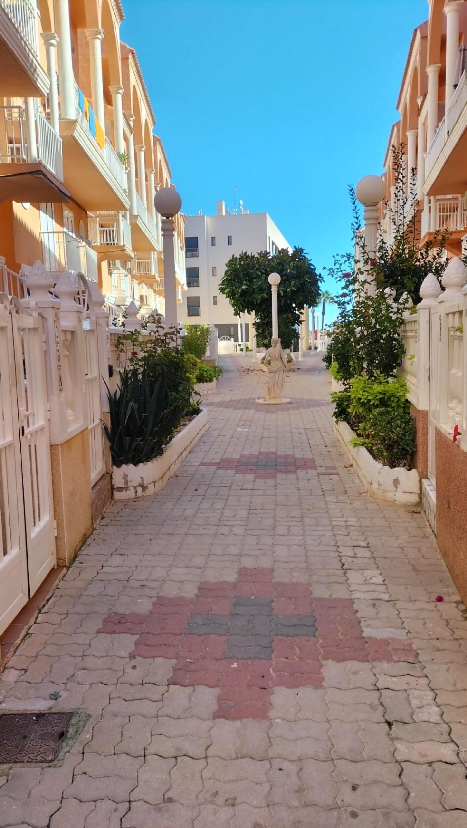  kaufen Wohnung Torrevieja Baix Segura 5