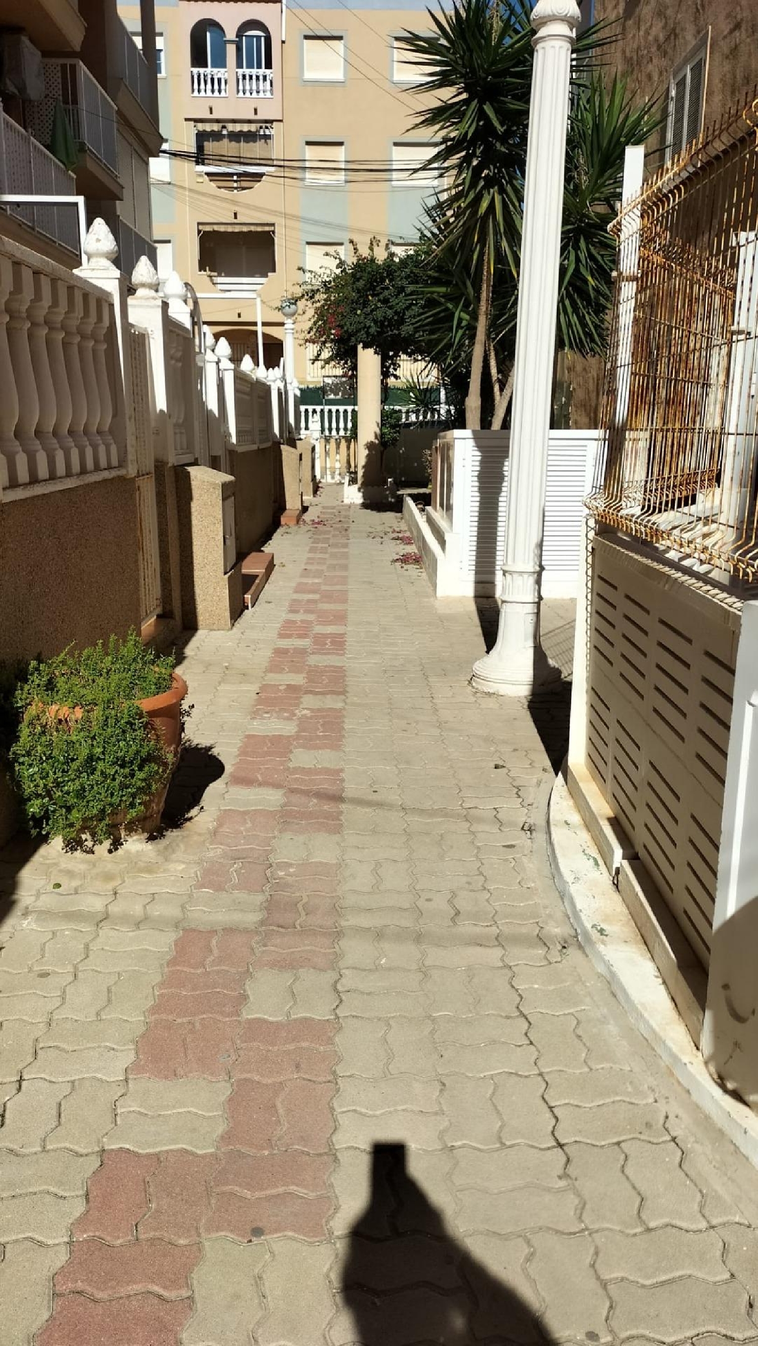  kaufen Wohnung Torrevieja Baix Segura 6