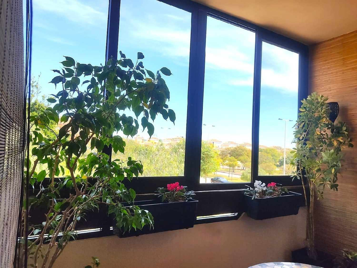  till salu lägenhet Torrevieja Baix Segura 8