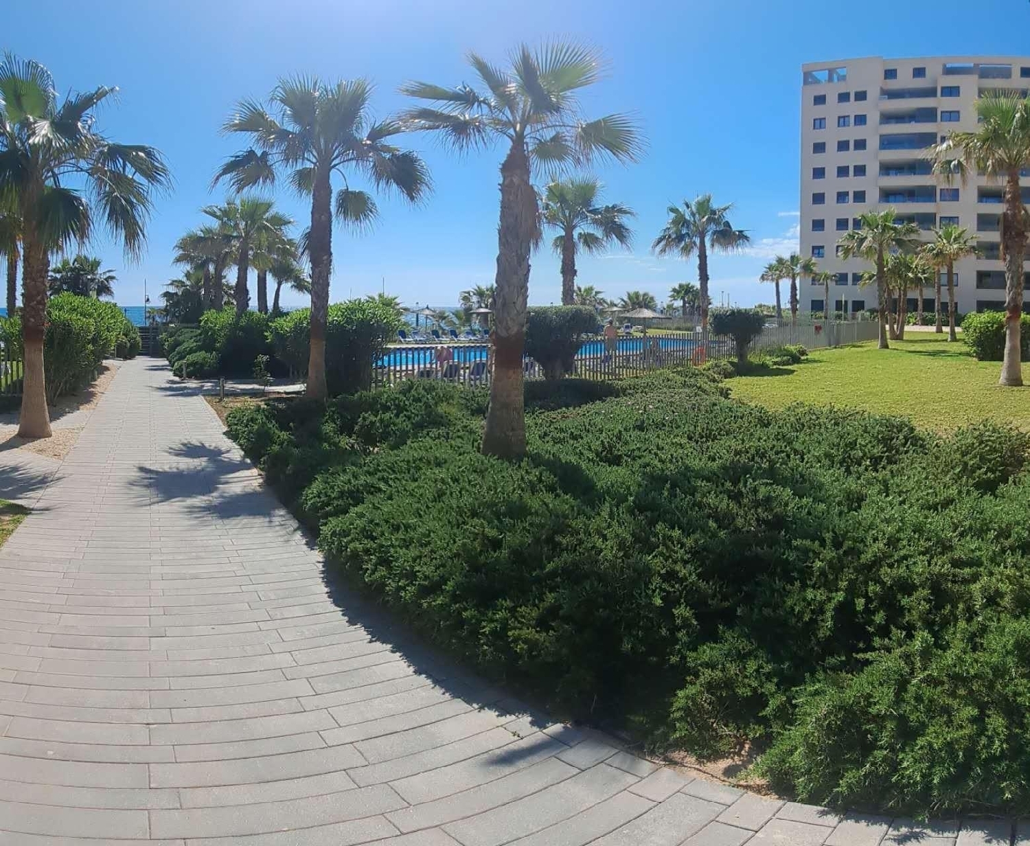  kaufen Wohnung Torrevieja Baix Segura 5