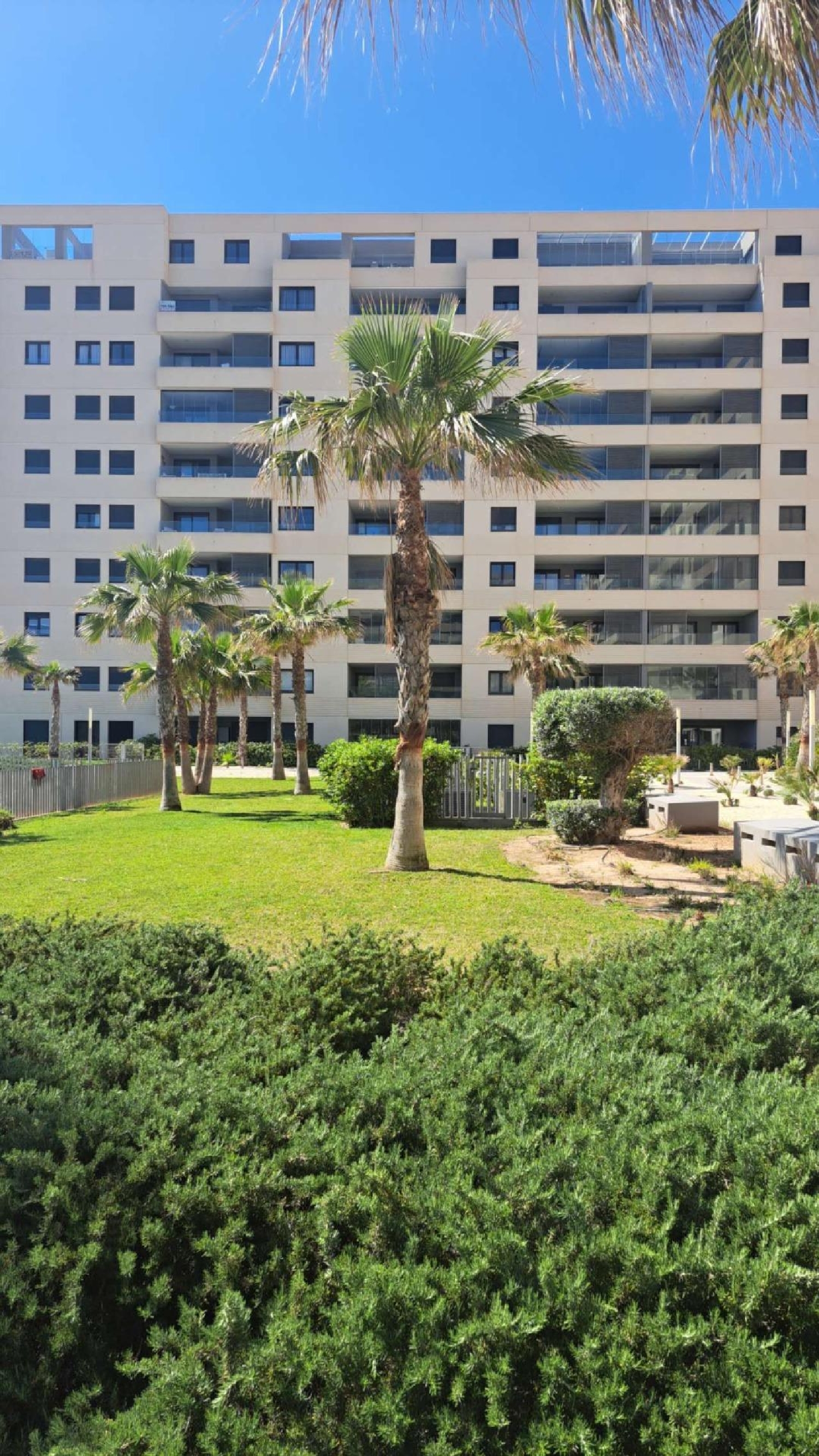  kaufen Wohnung Torrevieja Baix Segura 7