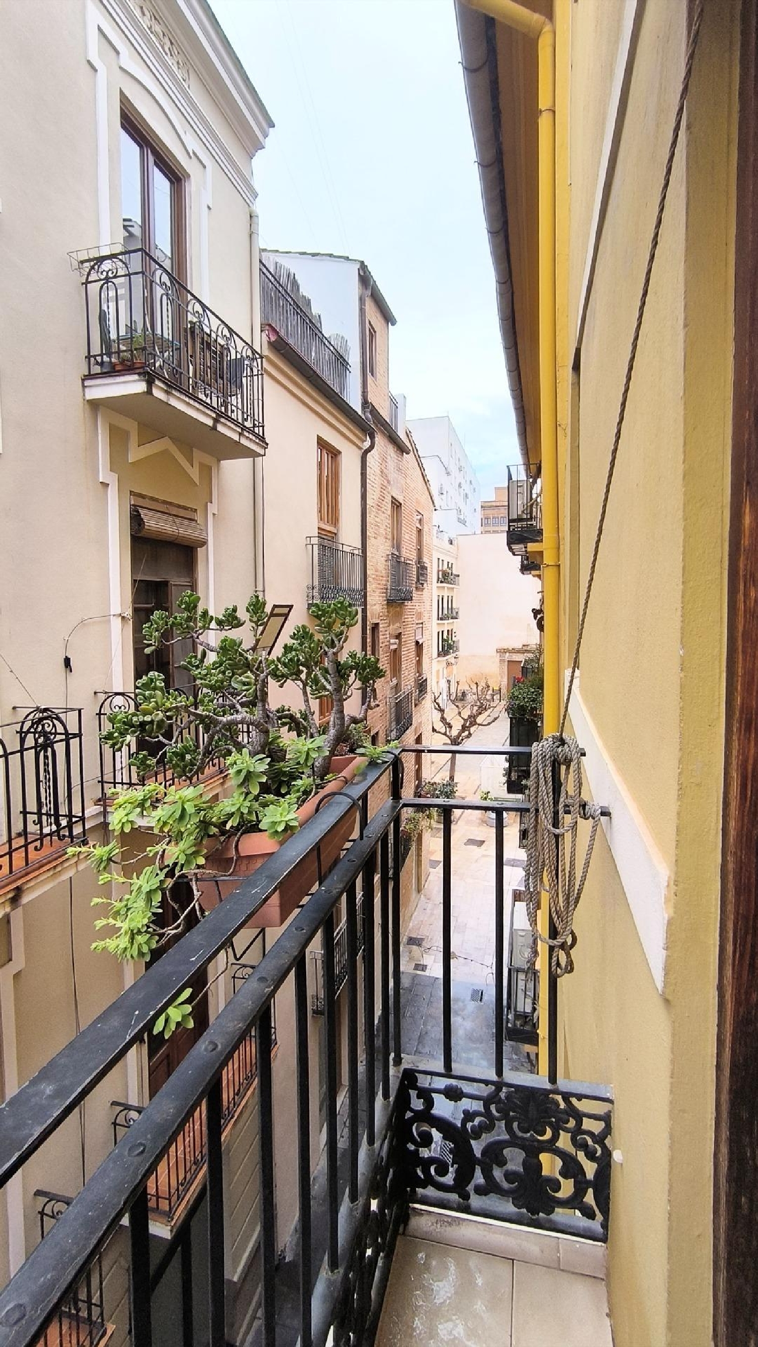  kaufen Wohnung Valencia De Las Torres Campiña Sur 6