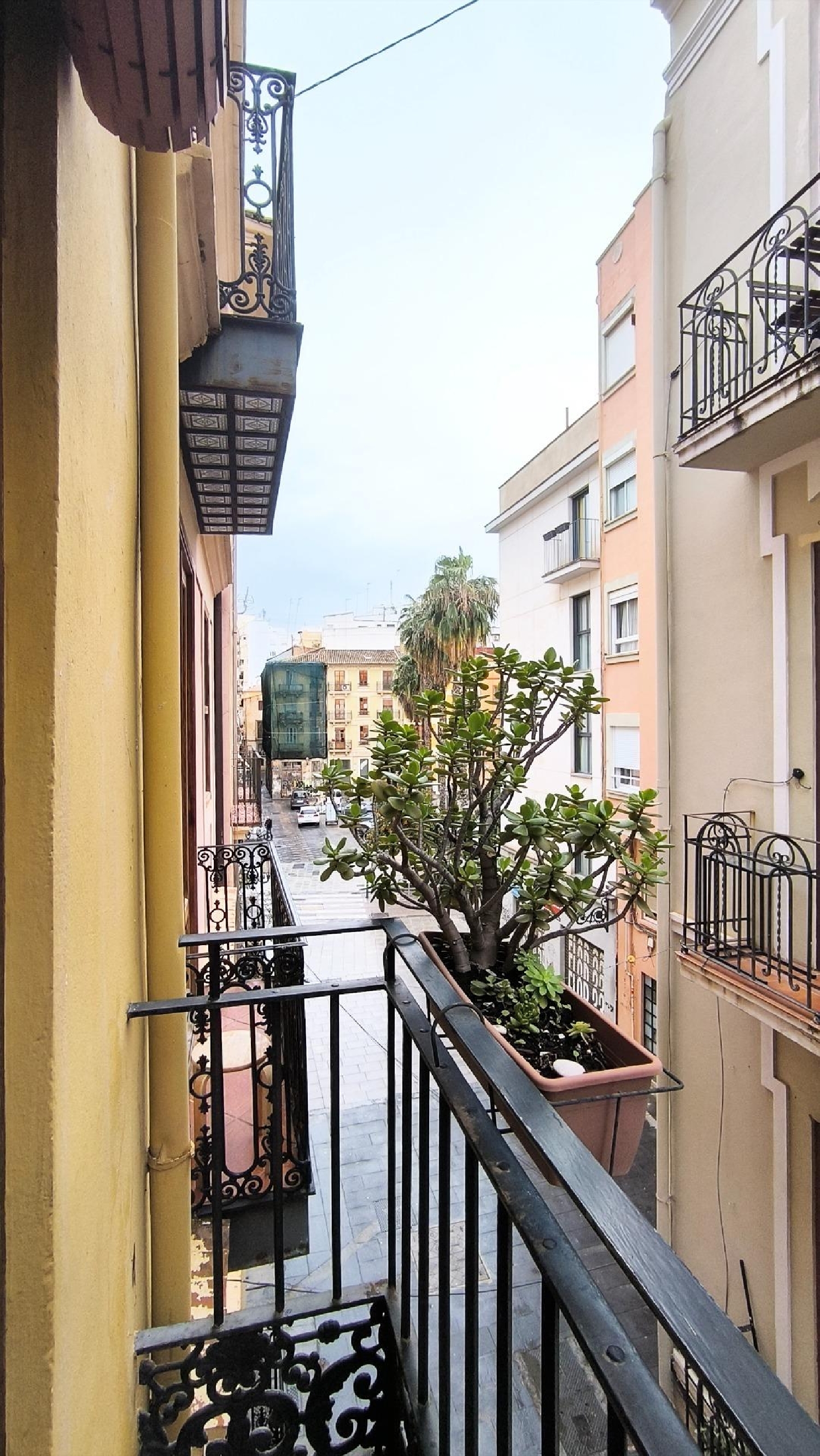  kaufen Wohnung Valencia De Las Torres Campiña Sur 5