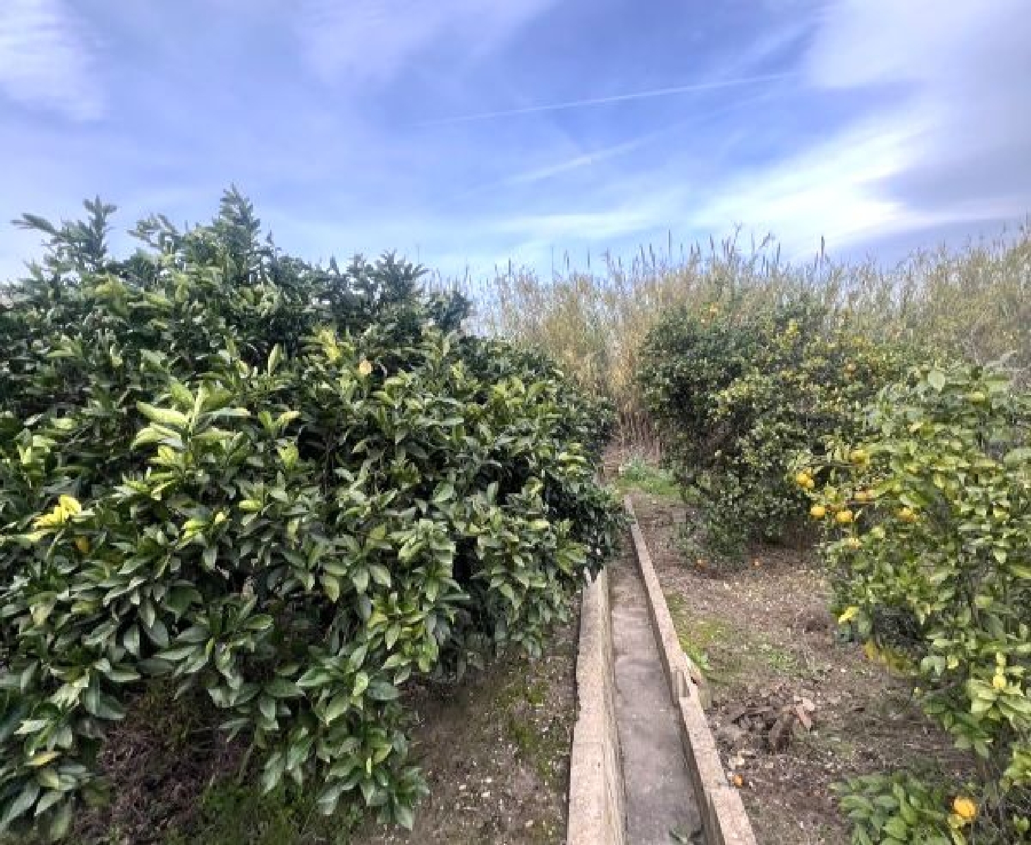  te koop appartement Xàtiva Costera (La) 4