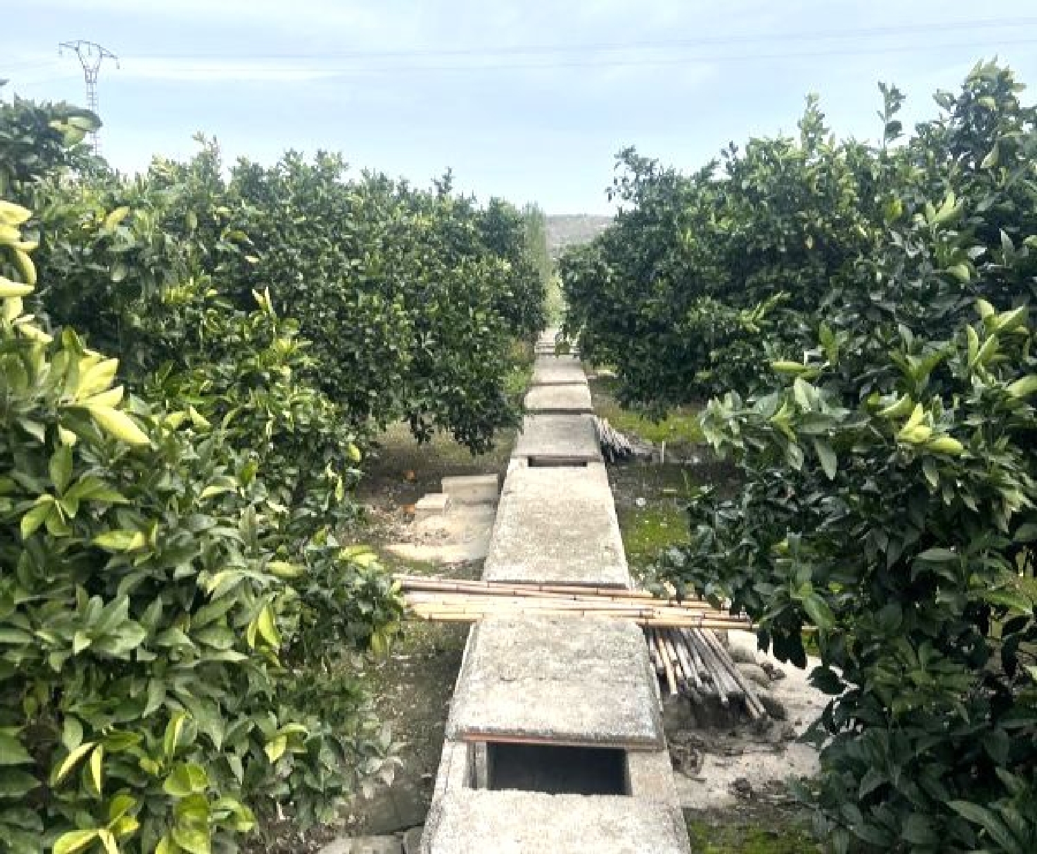  te koop appartement Xàtiva Costera (La) 3