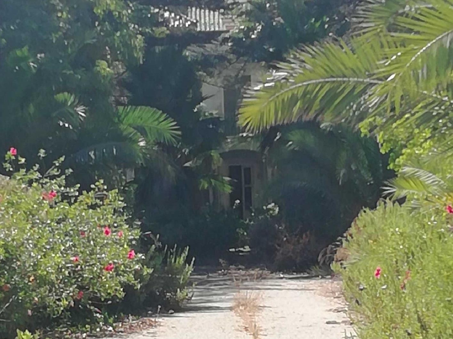  till salu byggnad San Roque Campo De Gibraltar 6