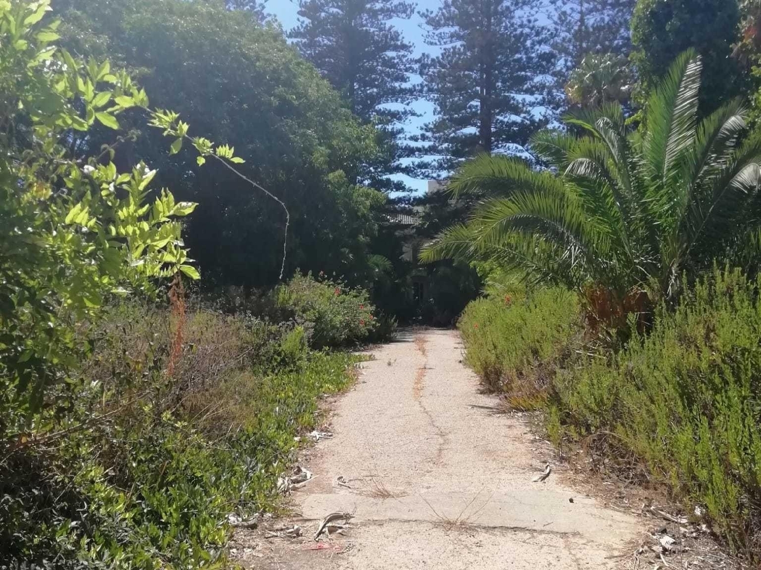  till salu byggnad San Roque Campo De Gibraltar 5