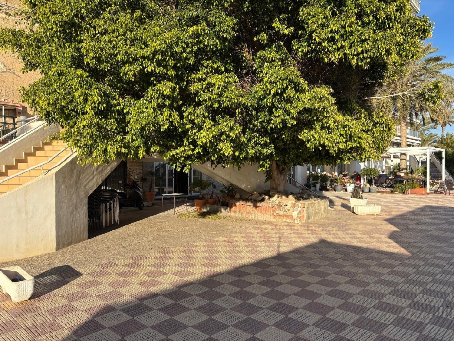 for sale commercial Alicante Centro 03001 Alacantí 5