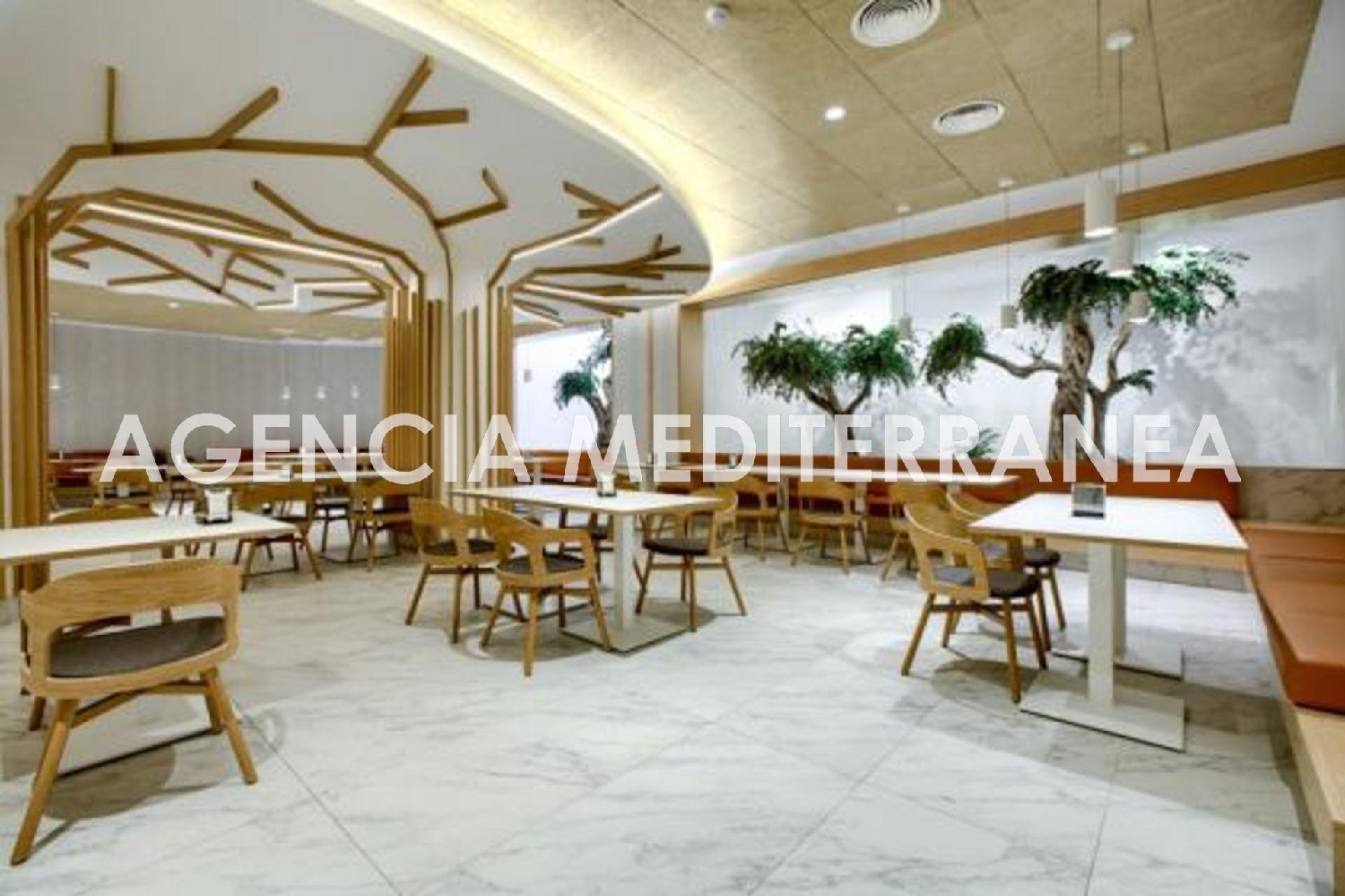  en venta local comercial Alzira Ribera Alta 6