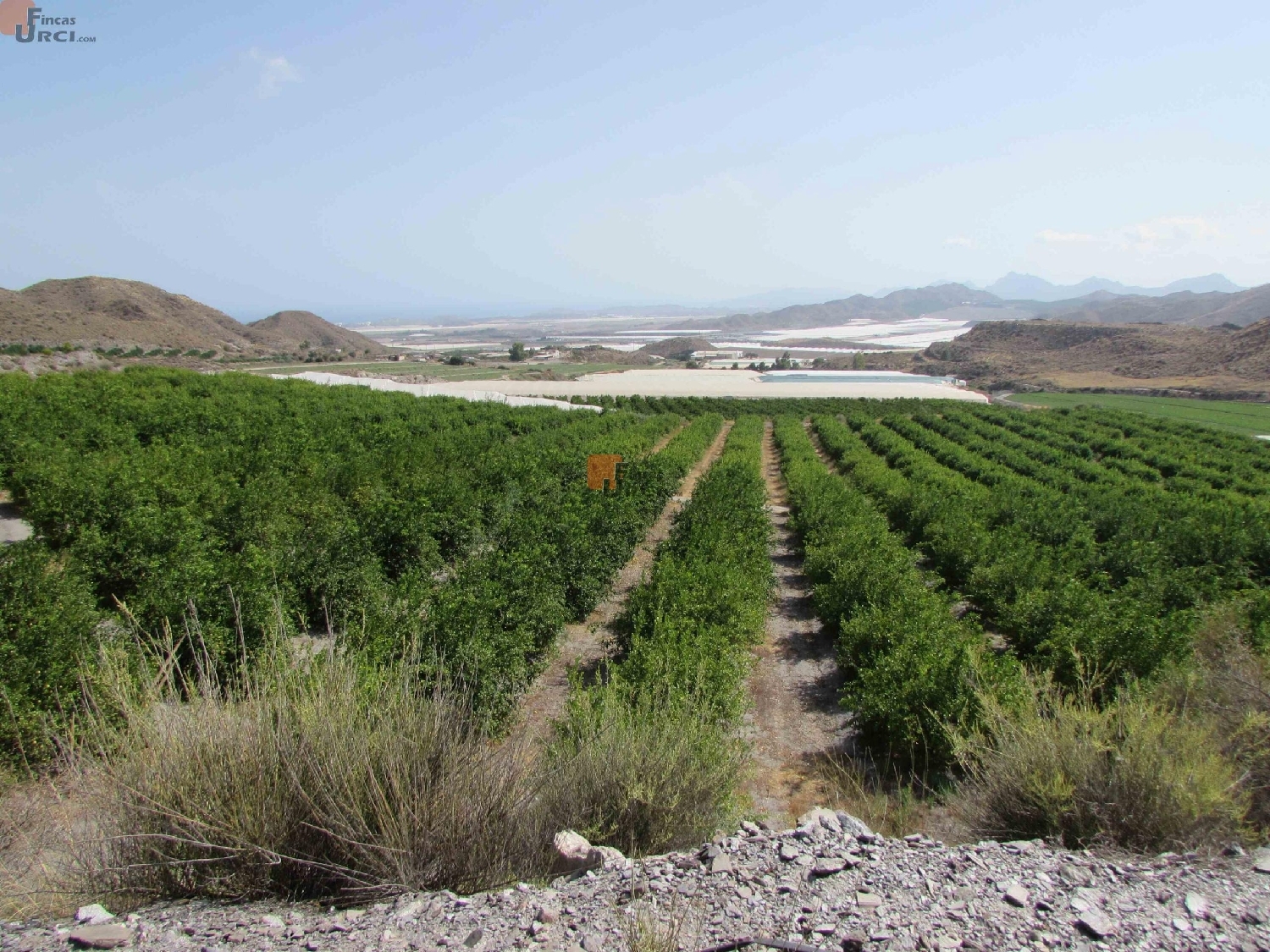  à vendre maison de campagne Águilas Alto Guadalentín 5