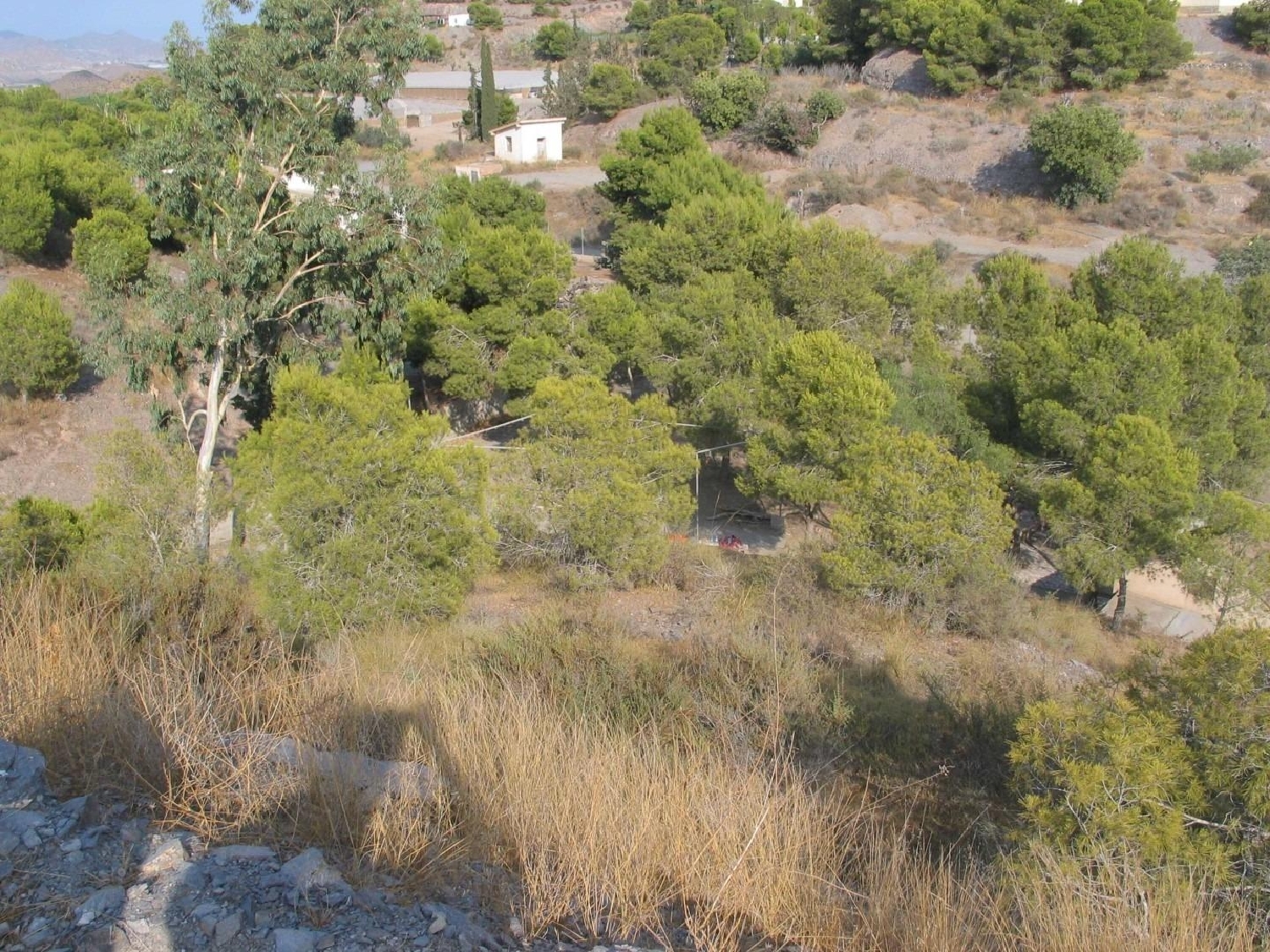  till salu hus på landet Águilas Alto Guadalentín 8