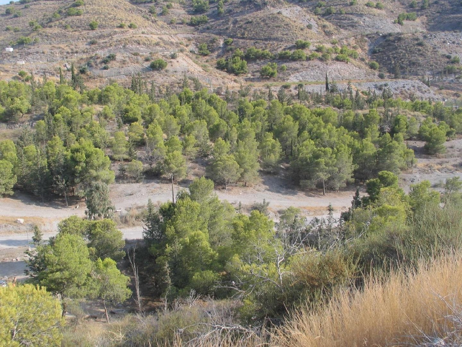  till salu hus på landet Águilas Alto Guadalentín 4