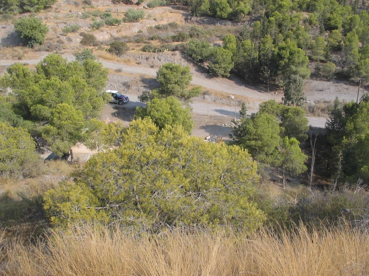  till salu hus på landet Águilas Alto Guadalentín 6