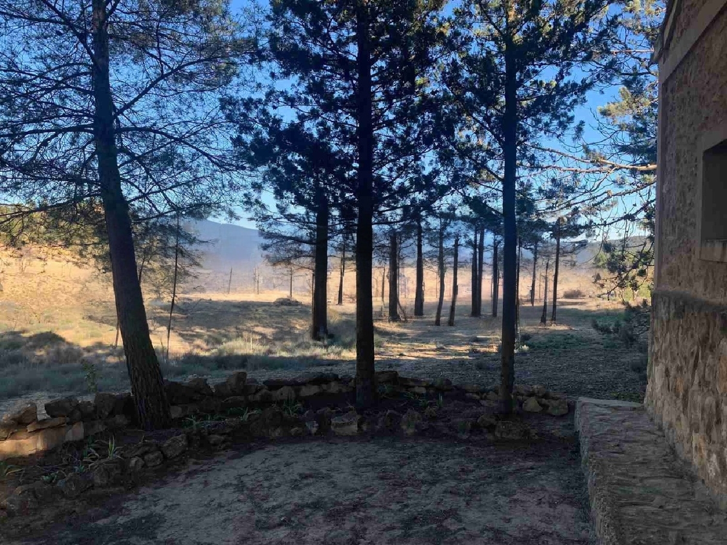  for sale country house Almansa Monte Ibérico Almansa 20