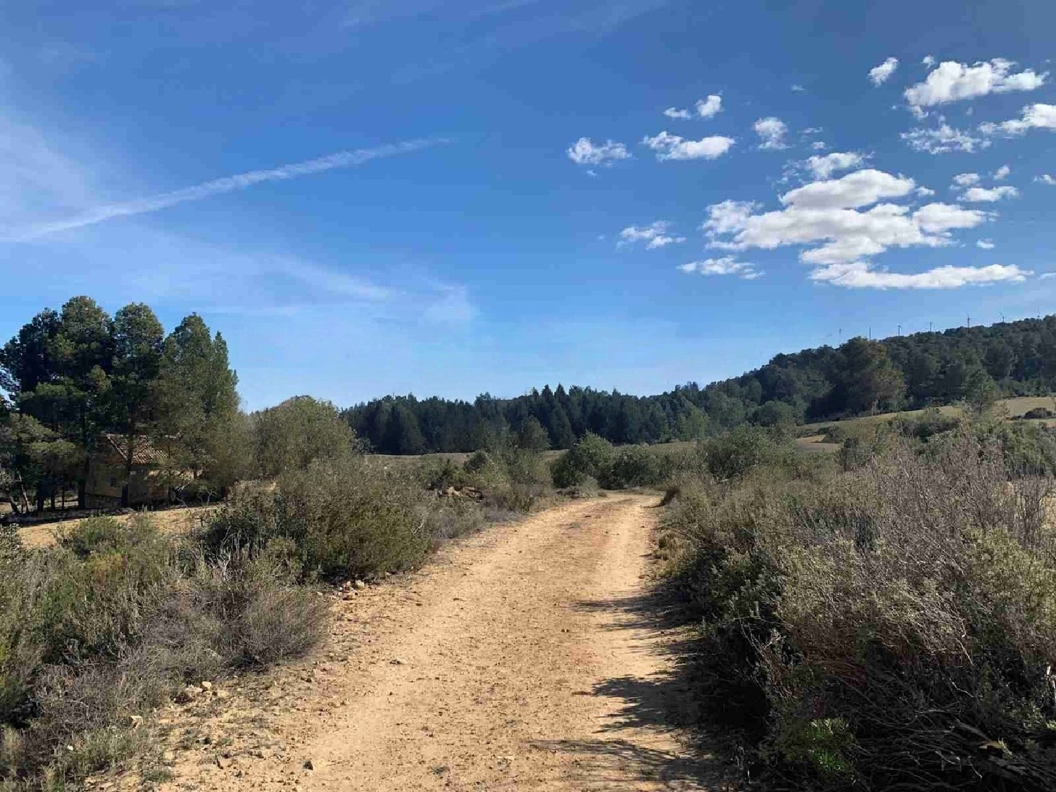  for sale country house Almansa Monte Ibérico Almansa 24