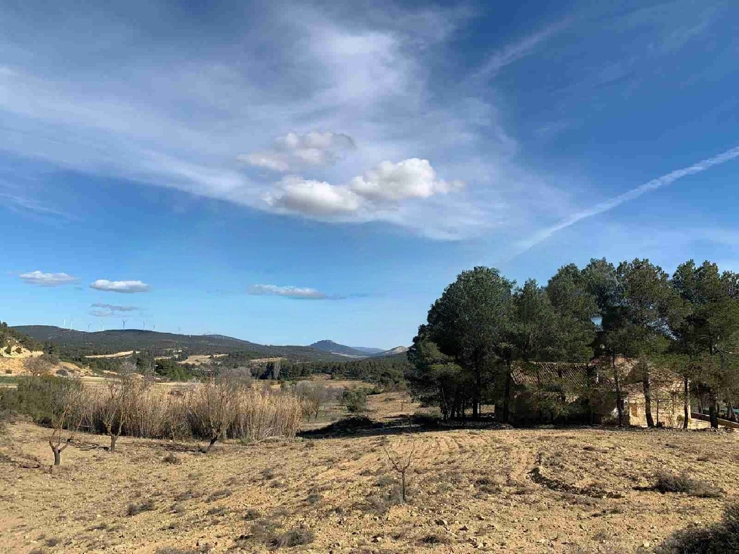  for sale country house Almansa Monte Ibérico Almansa 25