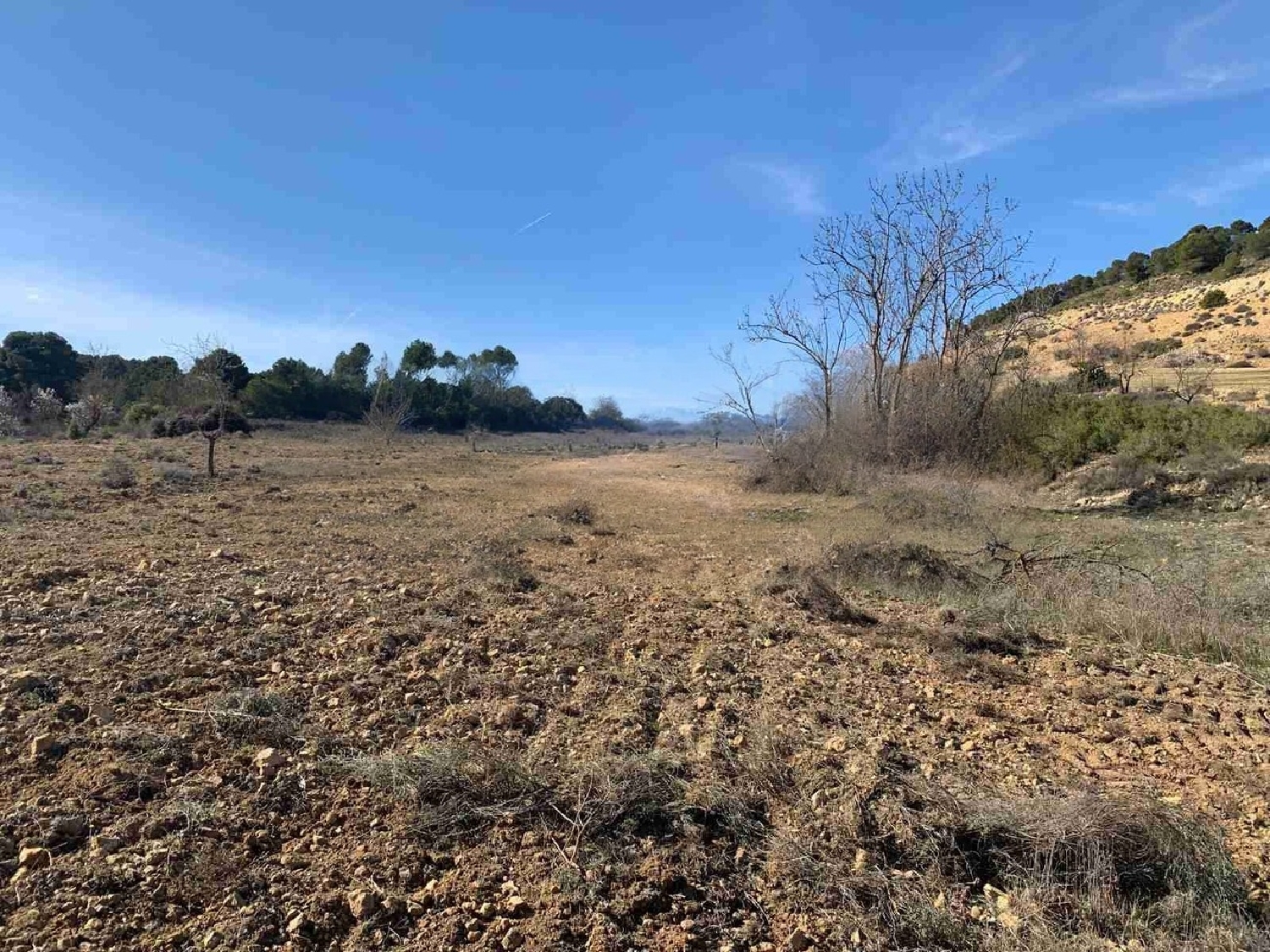  for sale country house Almansa Monte Ibérico Almansa 28