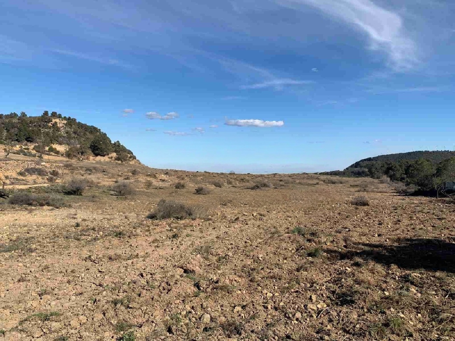  for sale country house Almansa Monte Ibérico Almansa 27