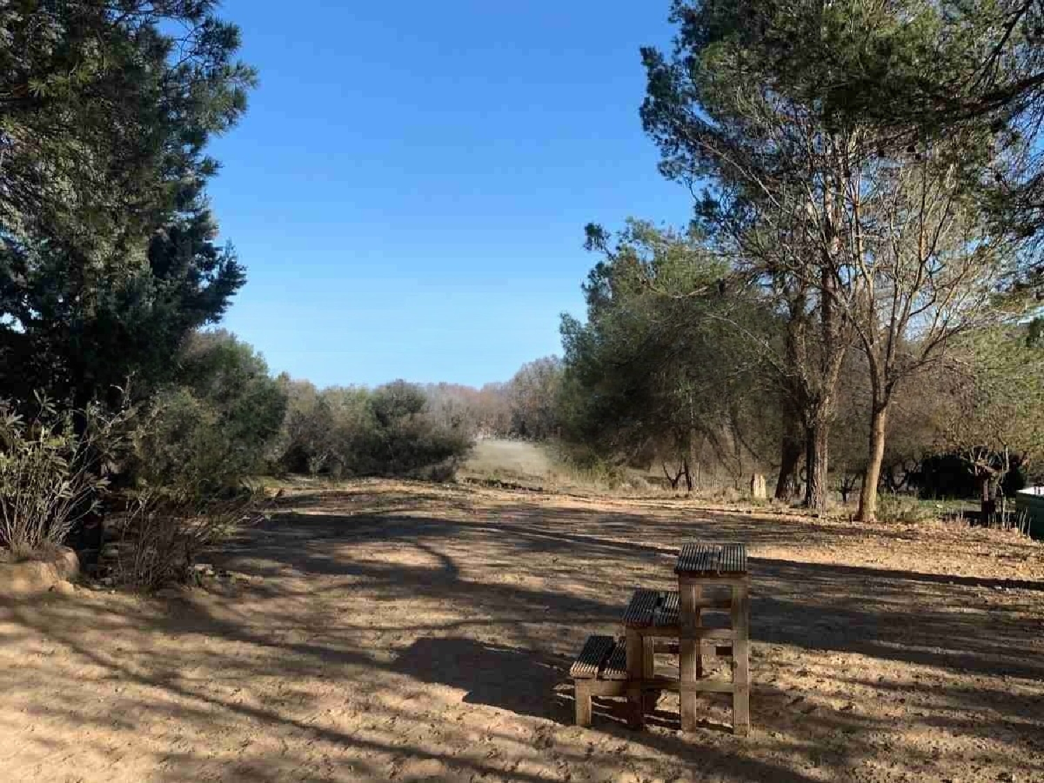  for sale country house Almansa Monte Ibérico Almansa 21