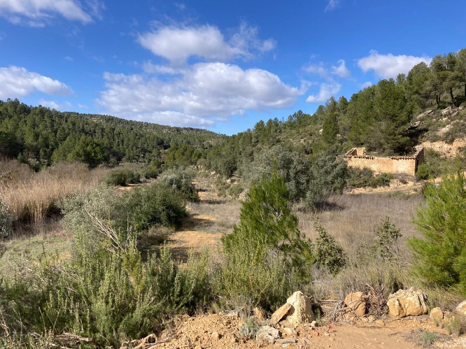  for sale country house Arens De Lledó Matarraña 6