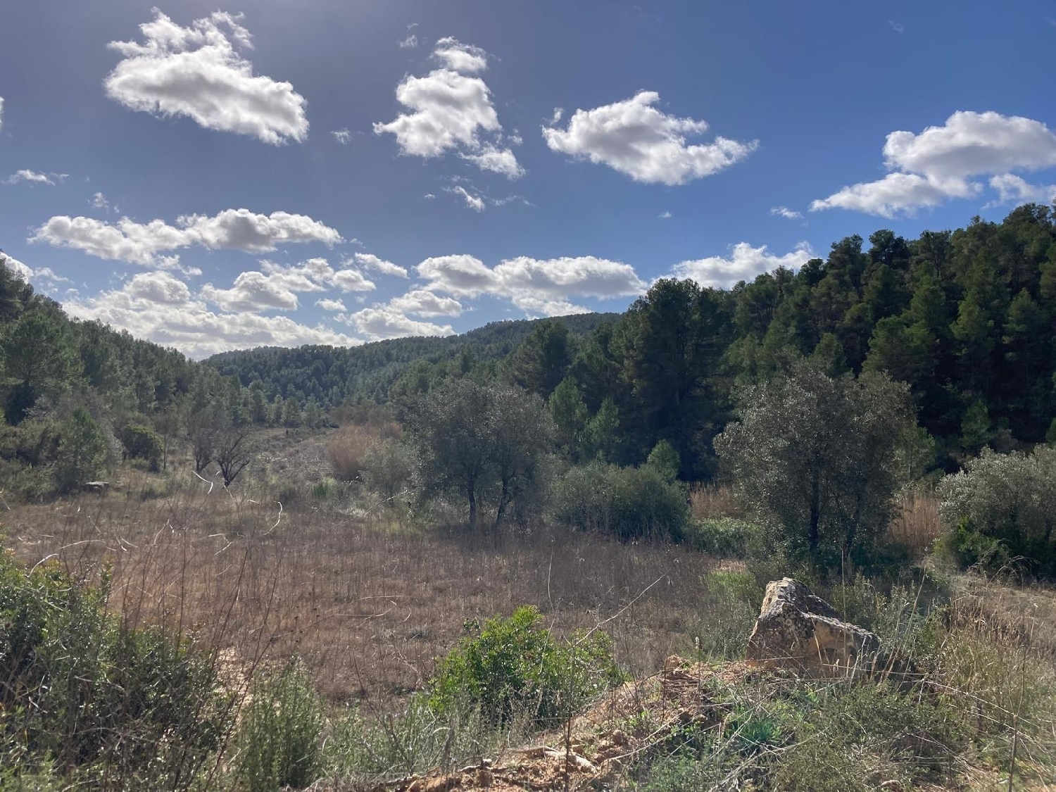  for sale country house Arens De Lledó Matarraña 5