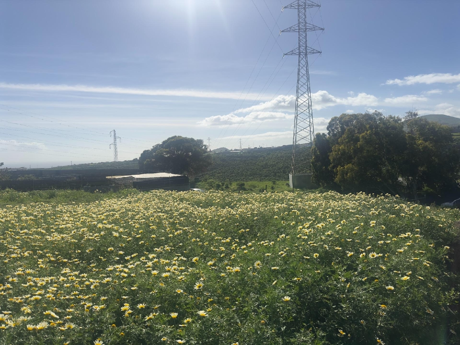 te koop boerderij Balcon De Telde Área Este 4