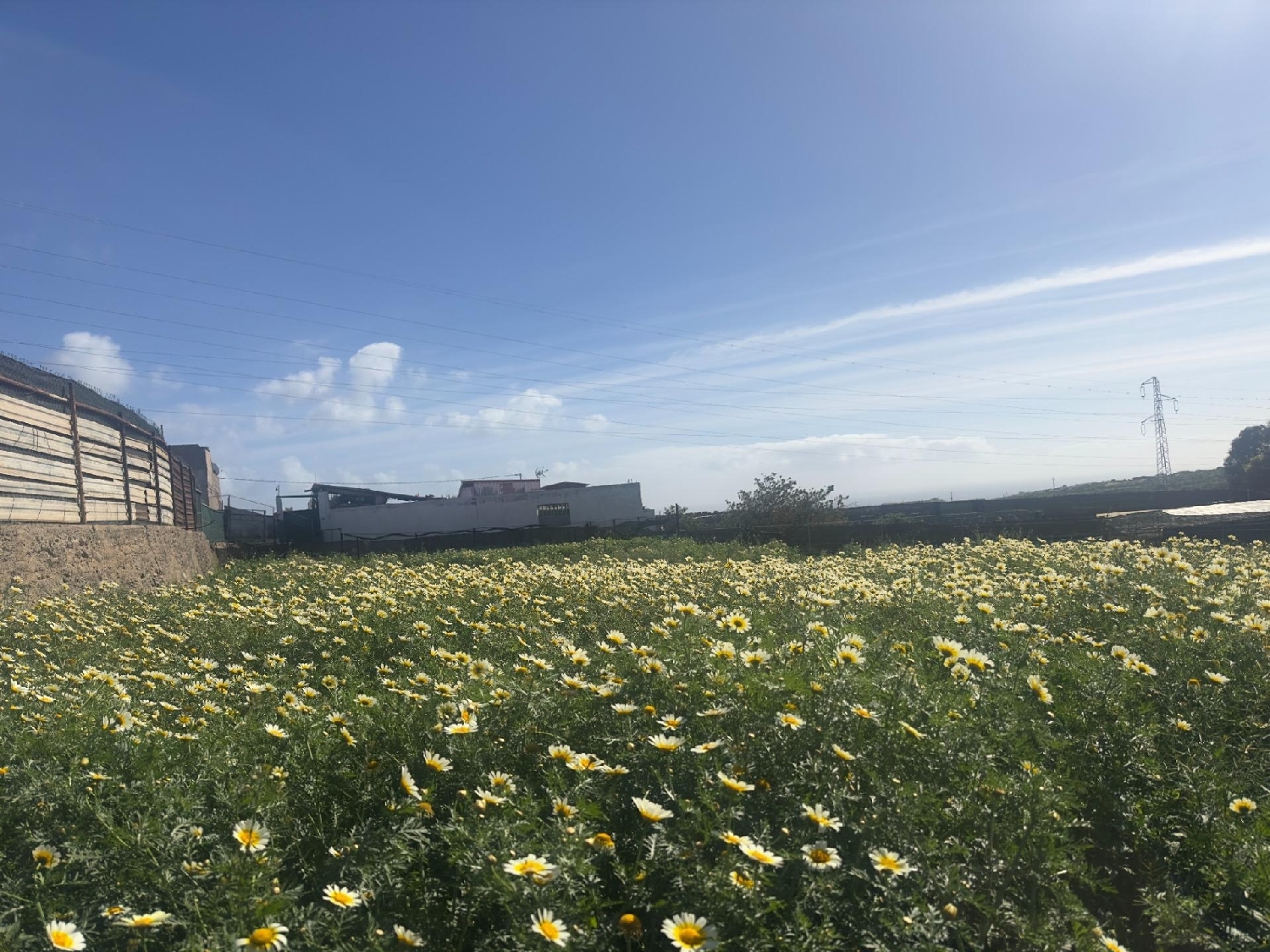 te koop boerderij Balcon De Telde Área Este 5