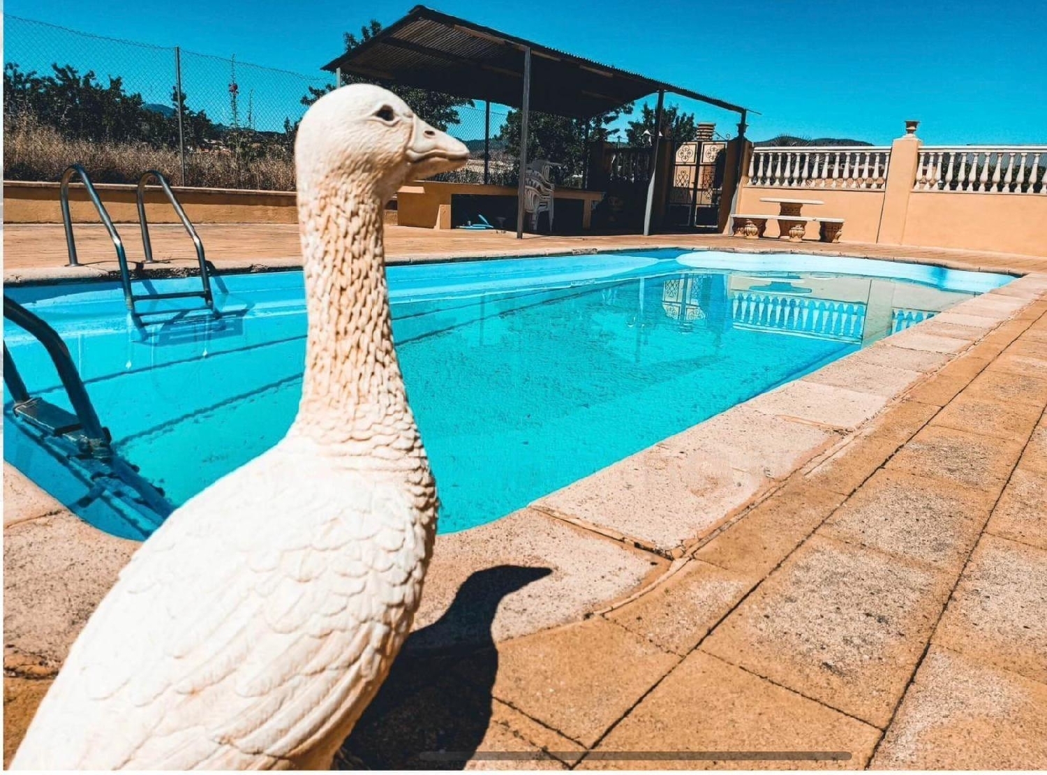  à vendre maison de campagne Barbazan Barcala 5