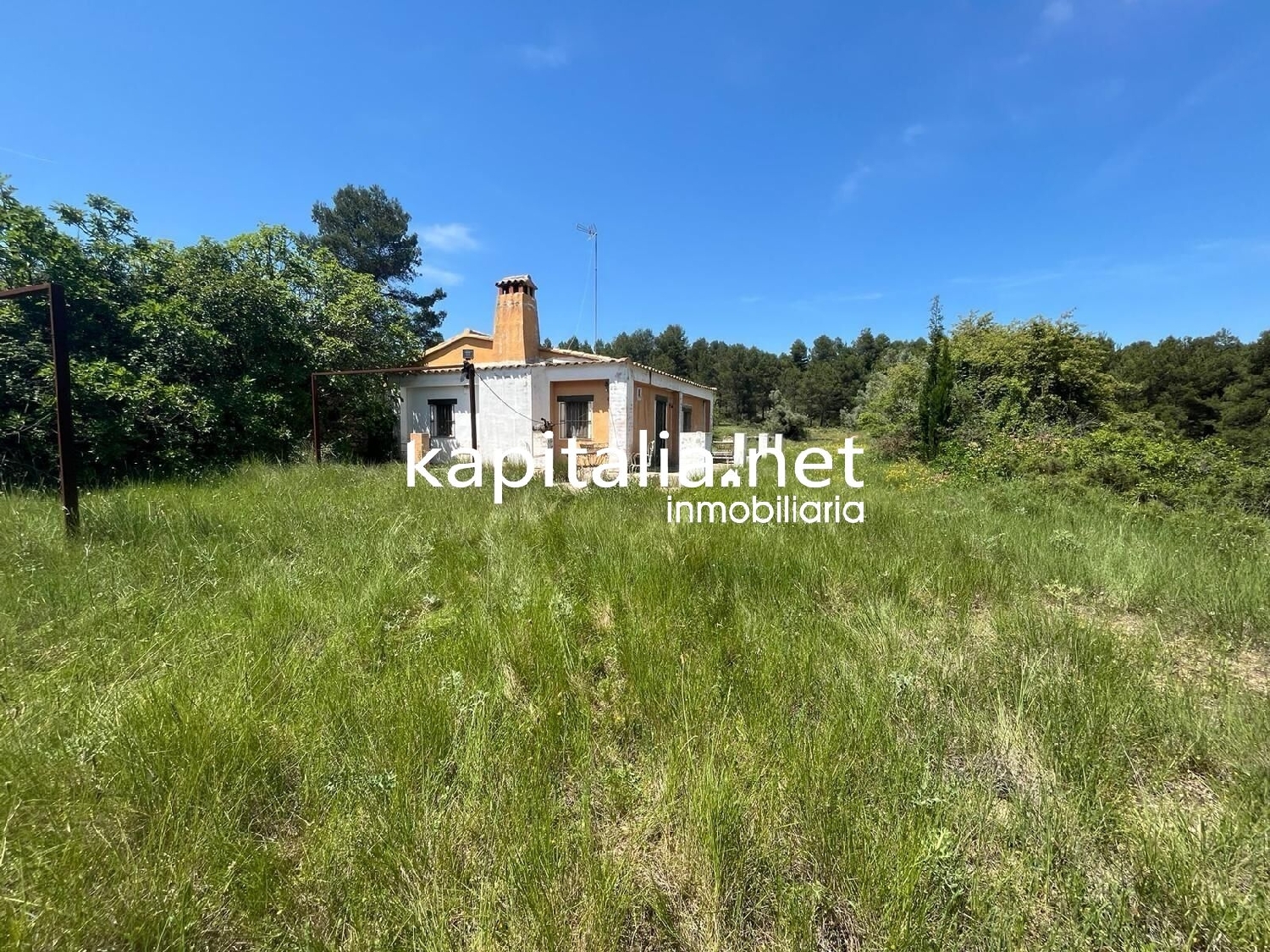  en venta finca rústica Bocairent Vall D'albaida 5