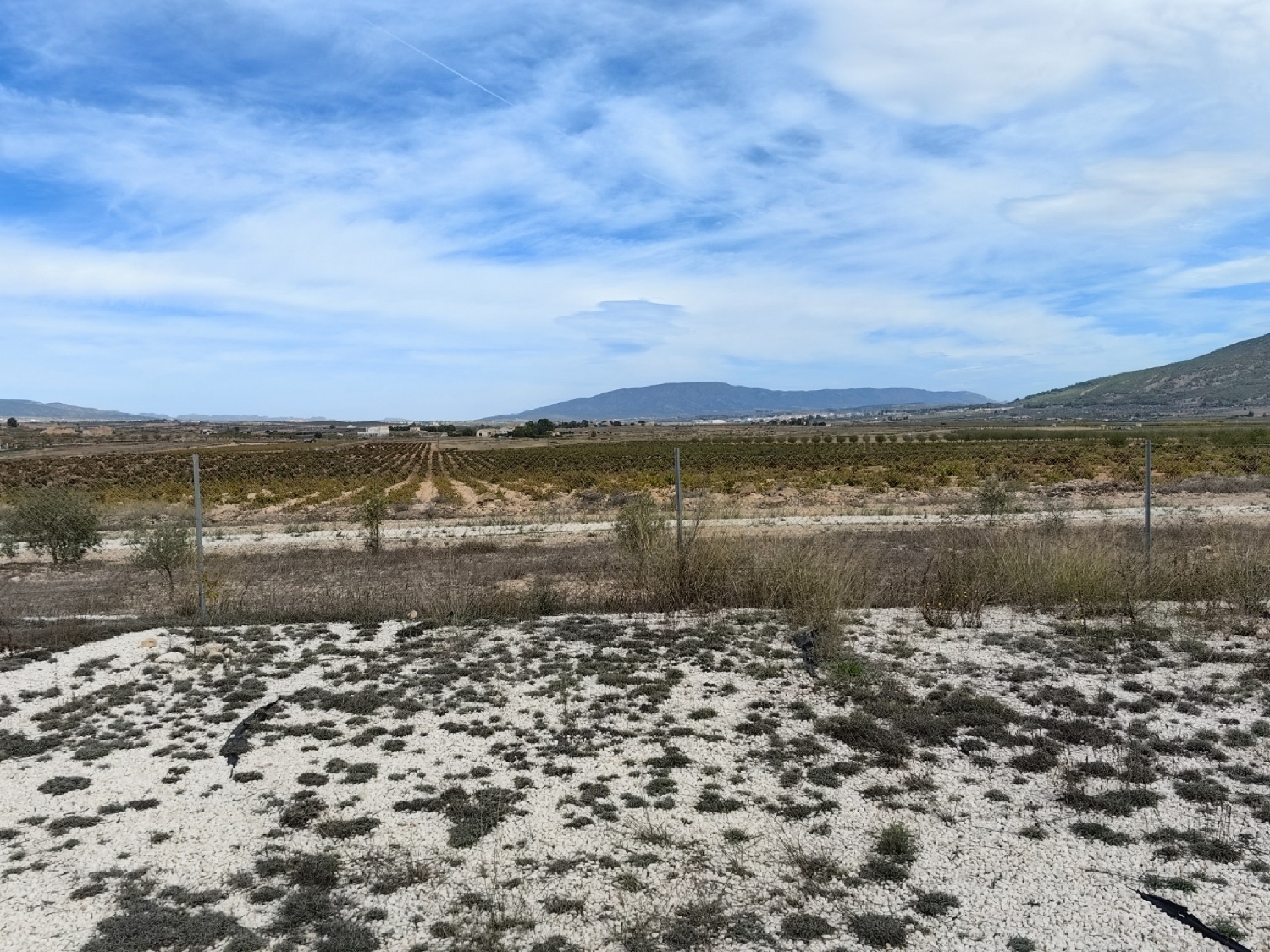  kaufen Landhaus Cabo De Las Huertas Alacantí 27