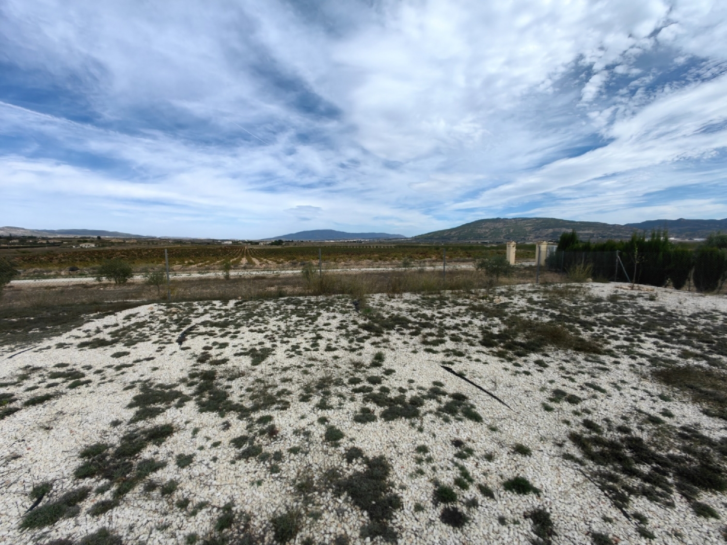  kaufen Landhaus Cabo De Las Huertas Alacantí 28