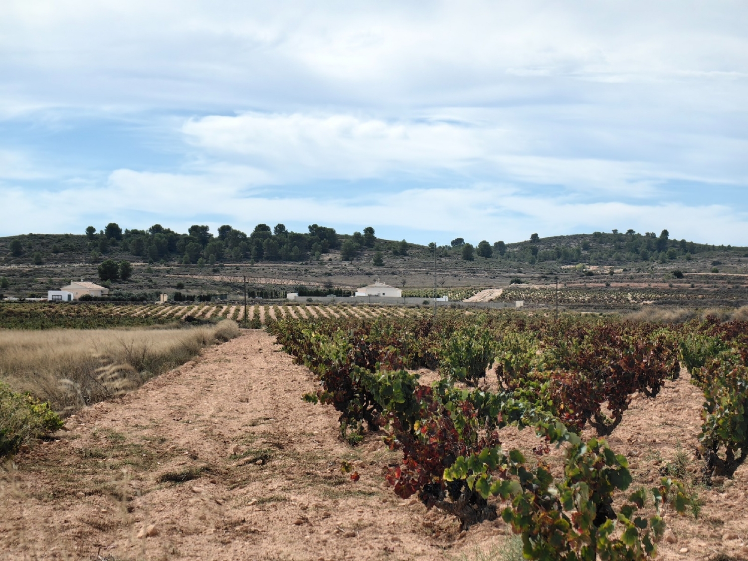  kaufen Landhaus Cabo De Las Huertas Alacantí 25